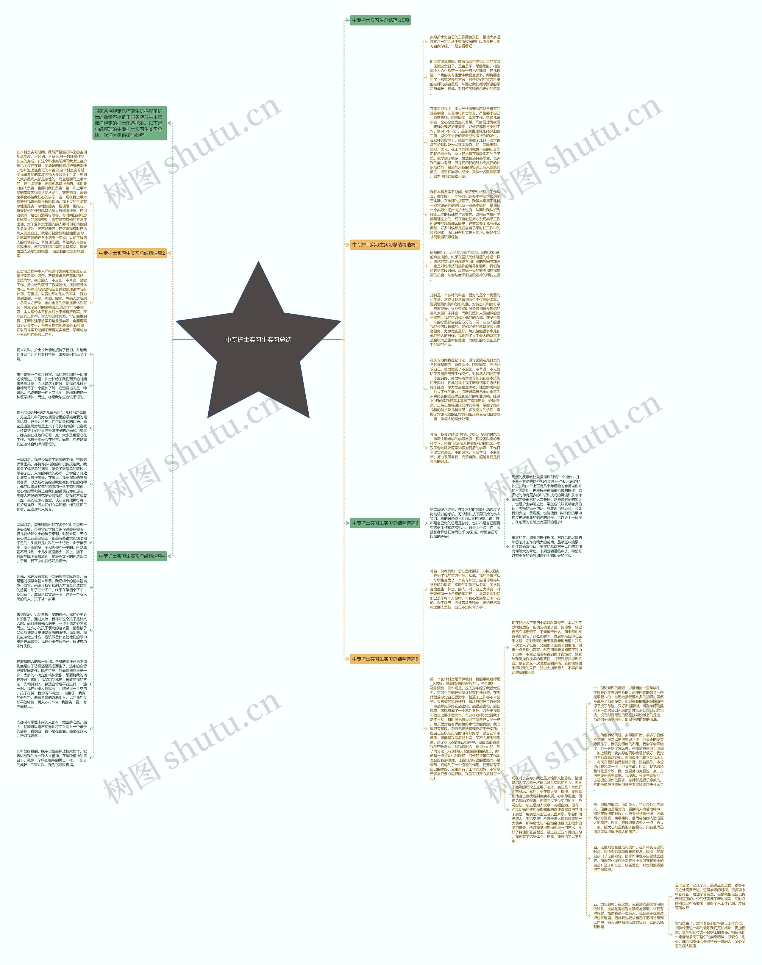 中专护士实习生实习总结思维导图高清图 中专护士实习生实习总结思维导图
