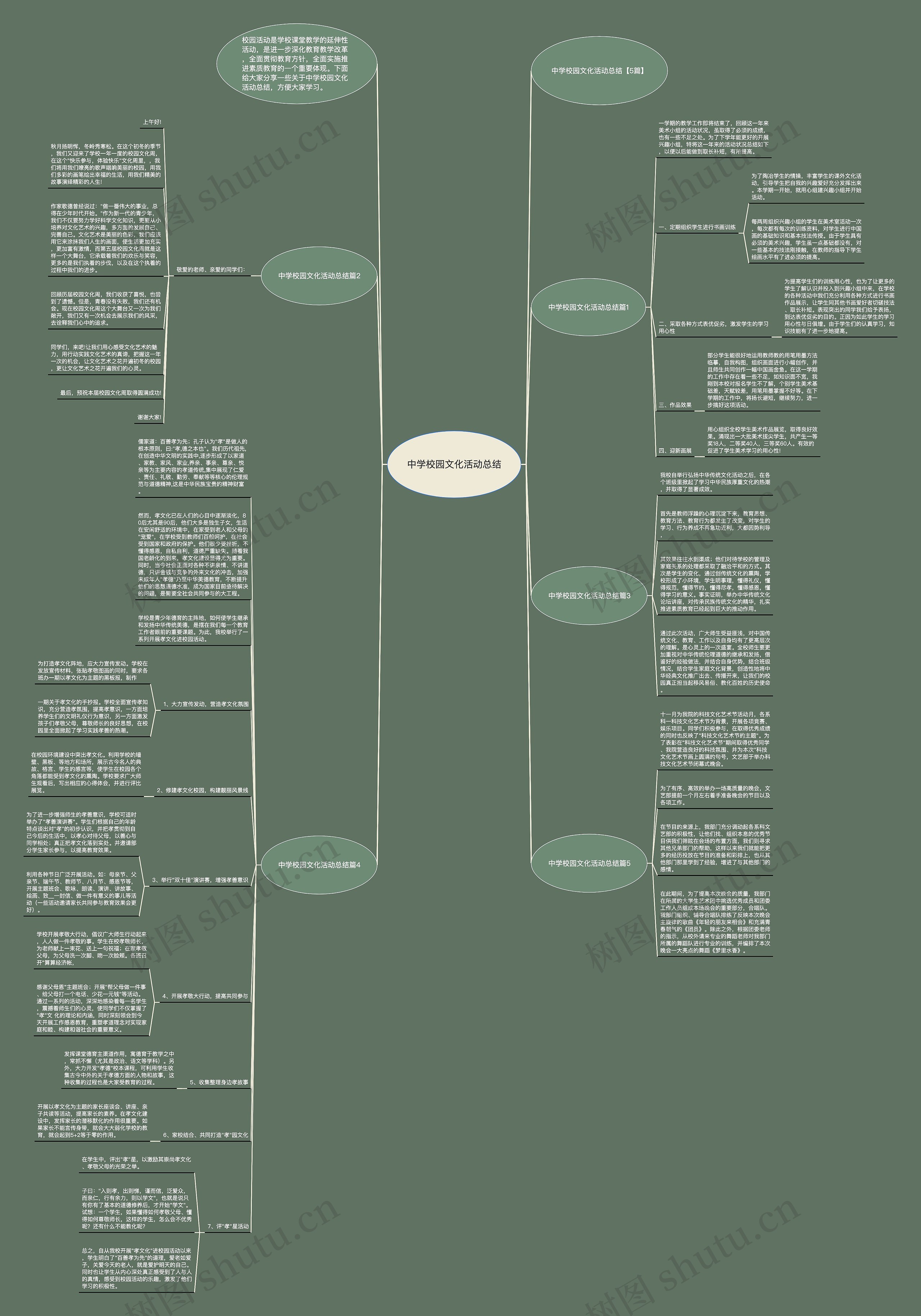 中学校园文化活动总结思维导图