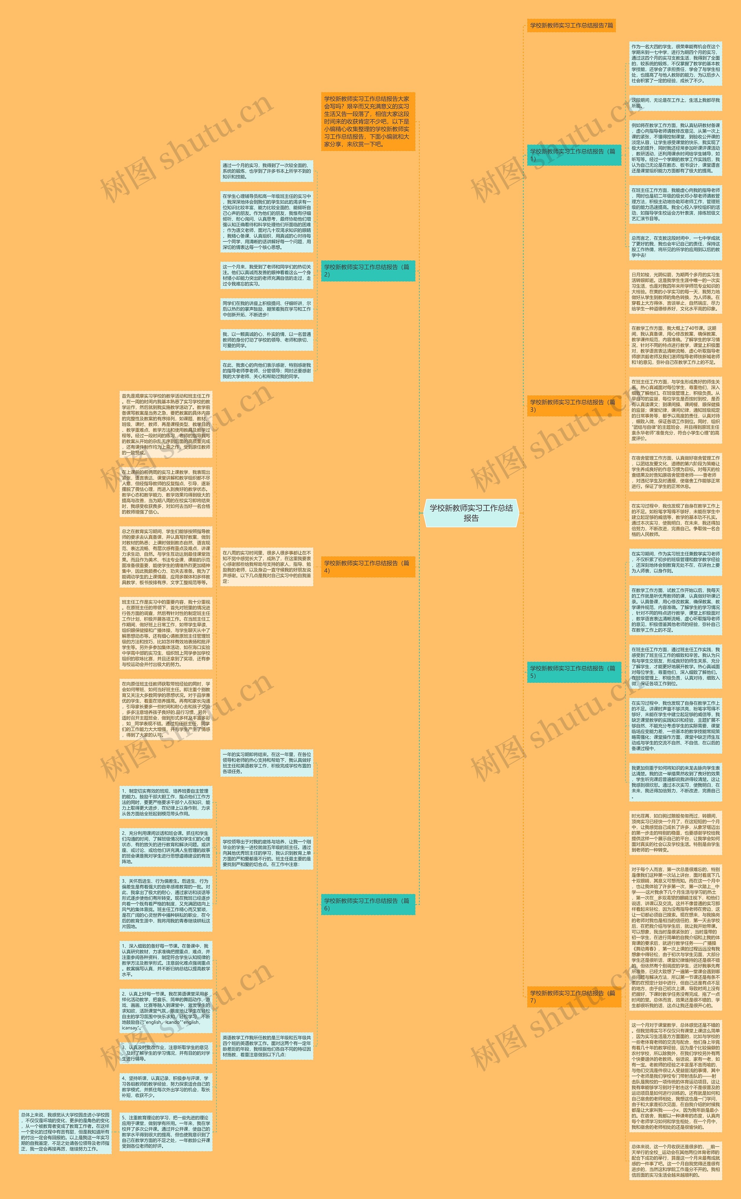 学校新教师实习工作总结报告思维导图