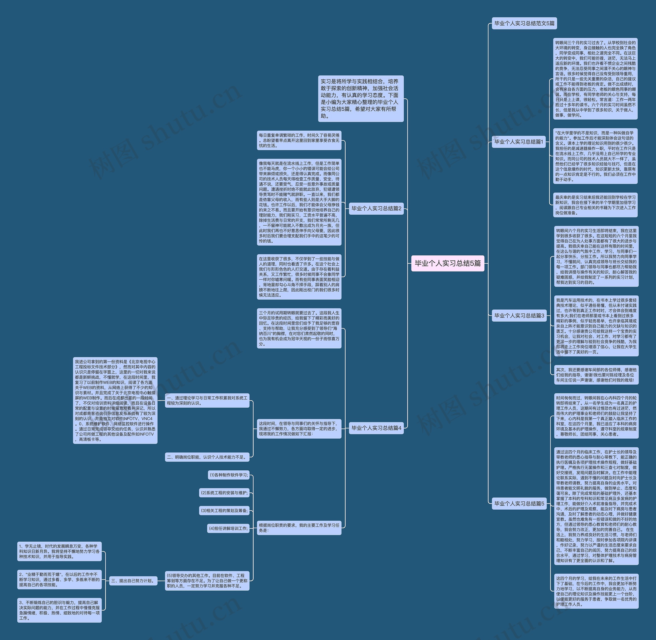 毕业个人实习总结5篇思维导图