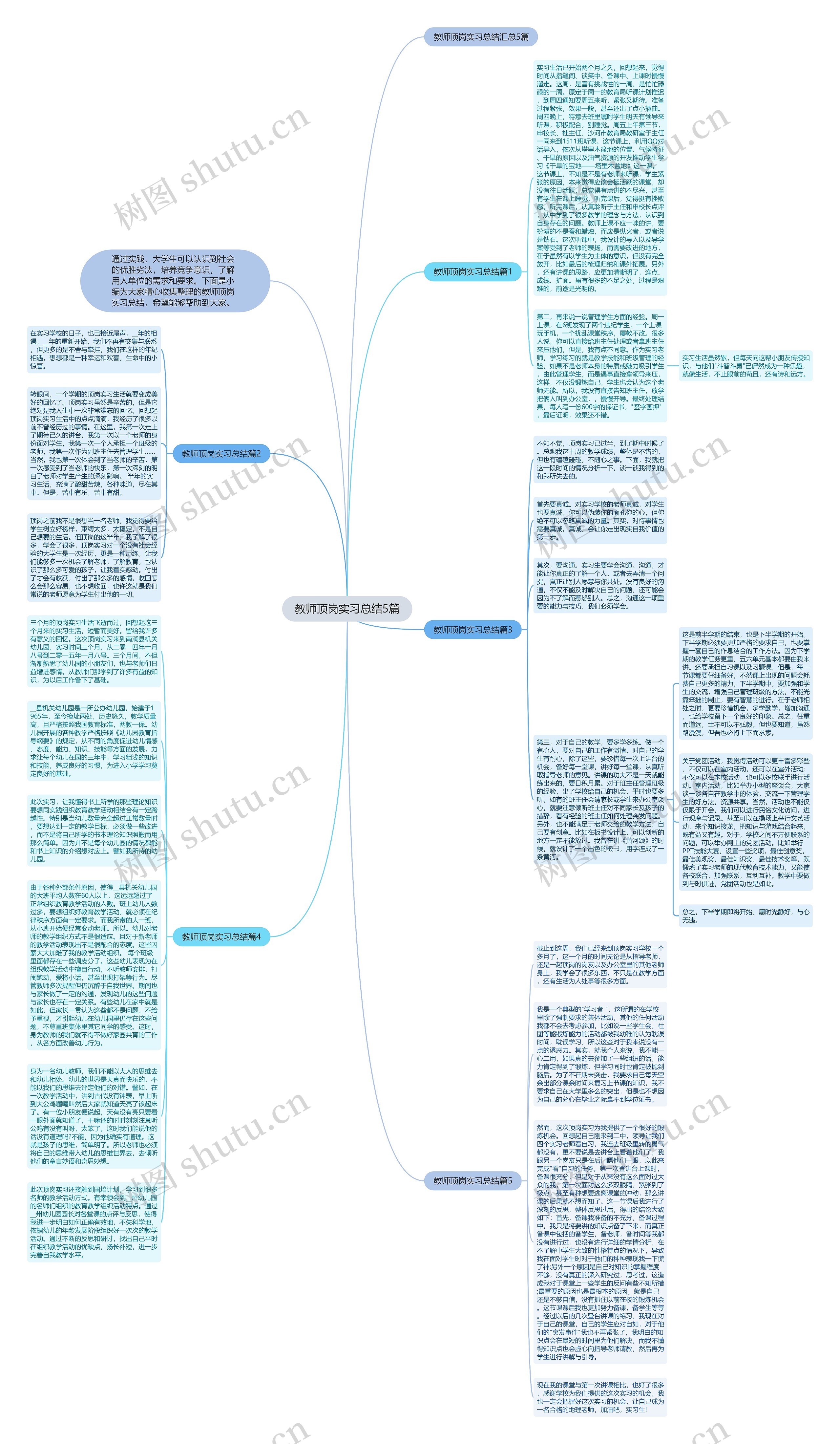 教师顶岗实习总结5篇思维导图