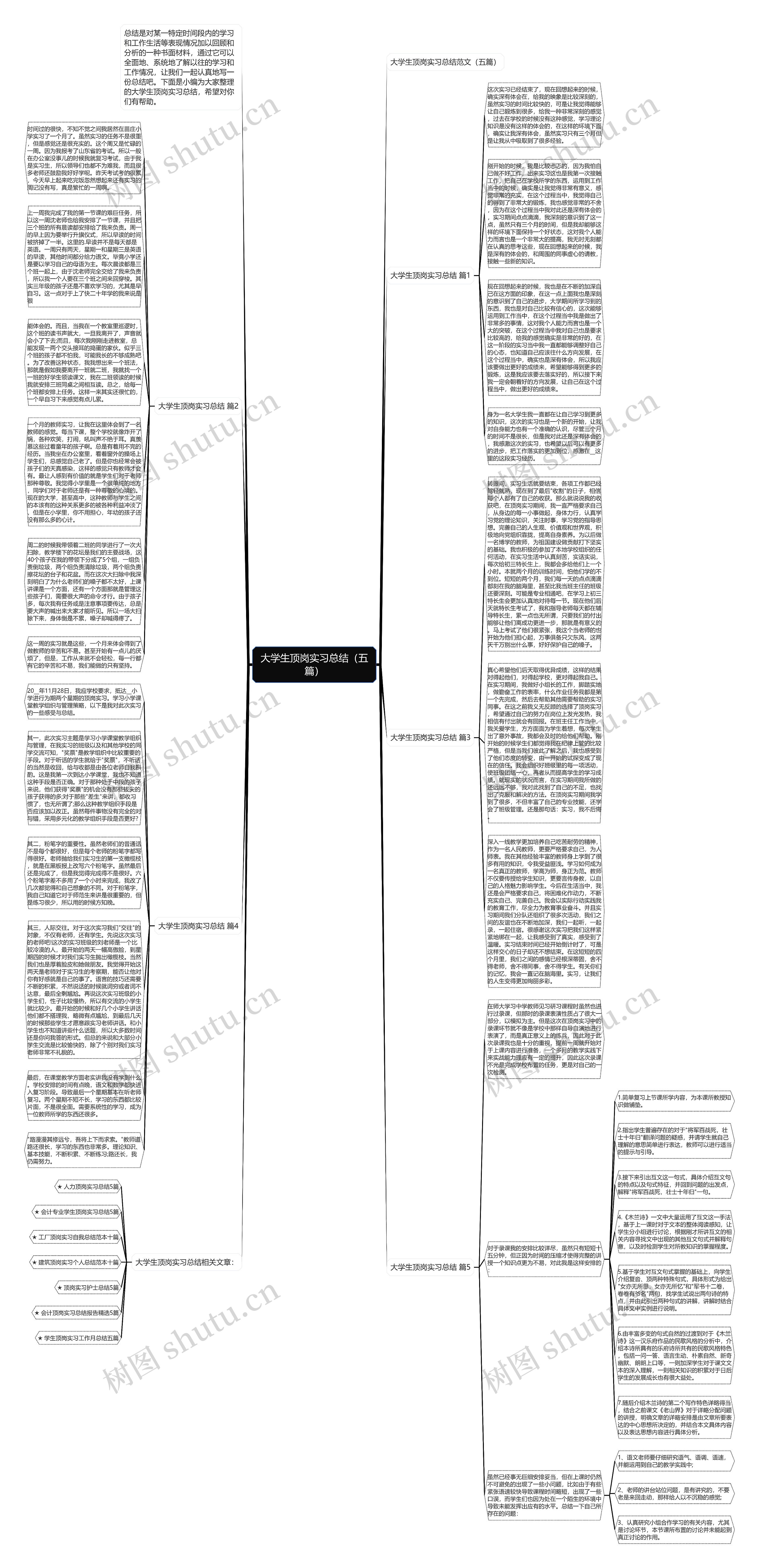 大学生顶岗实习总结（五篇）思维导图