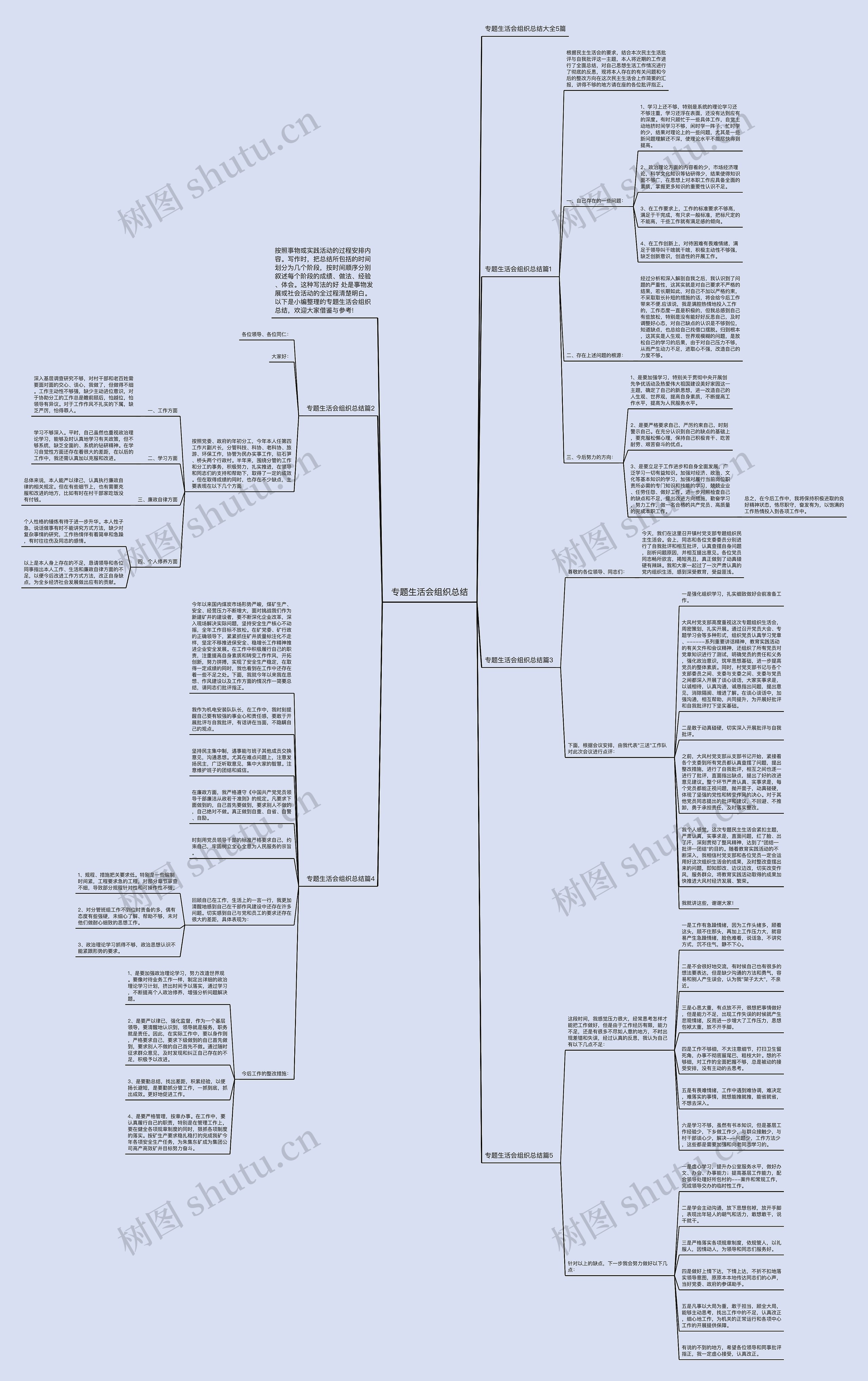 专题生活会组织总结思维导图
