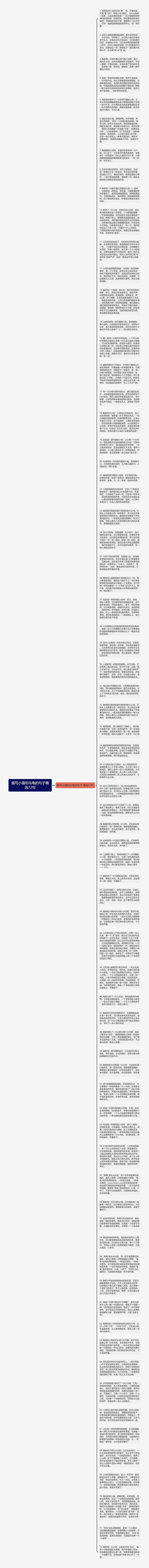 描写小猫和乌龟的句子精选72句思维导图