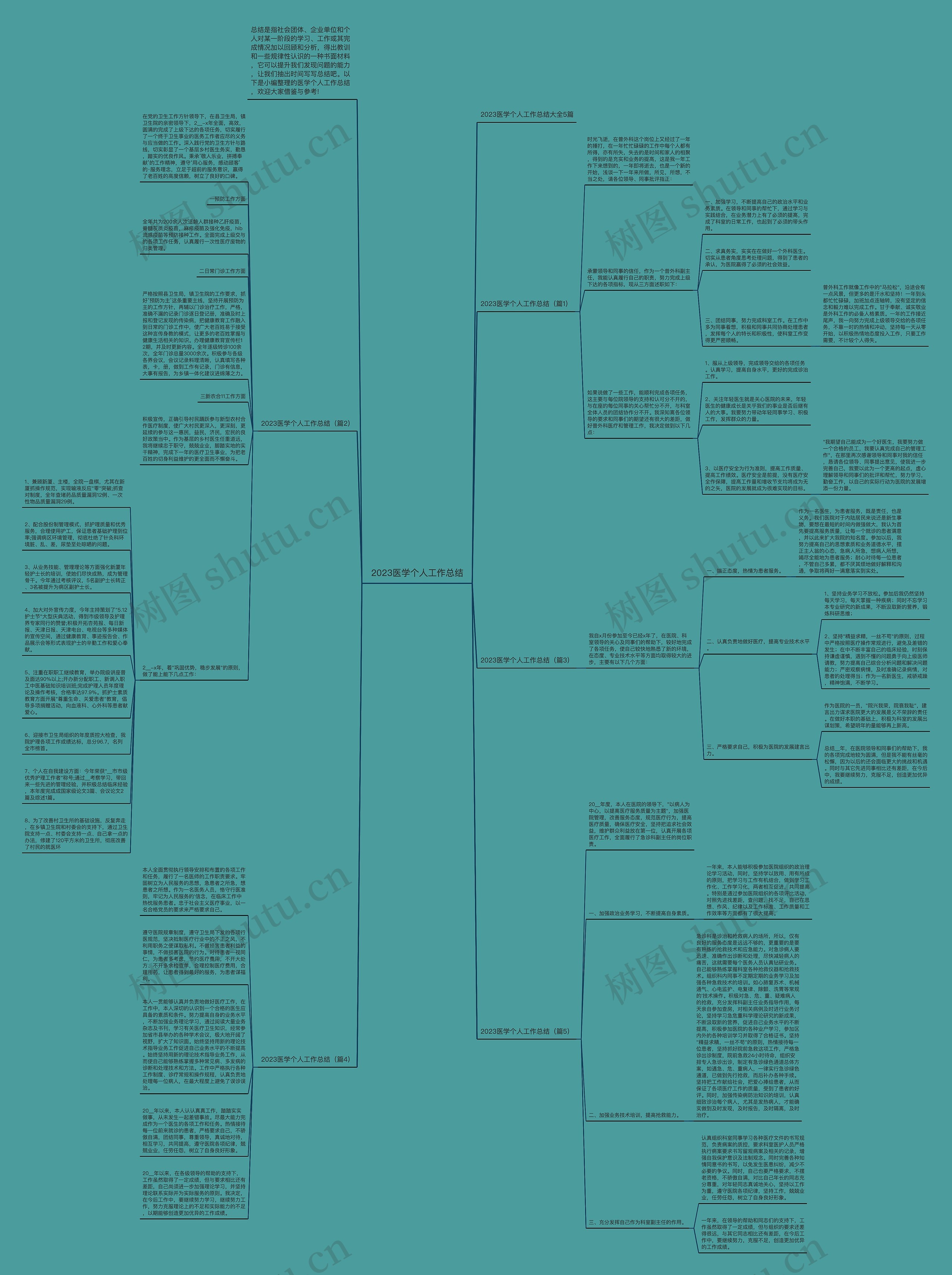2023医学个人工作总结思维导图