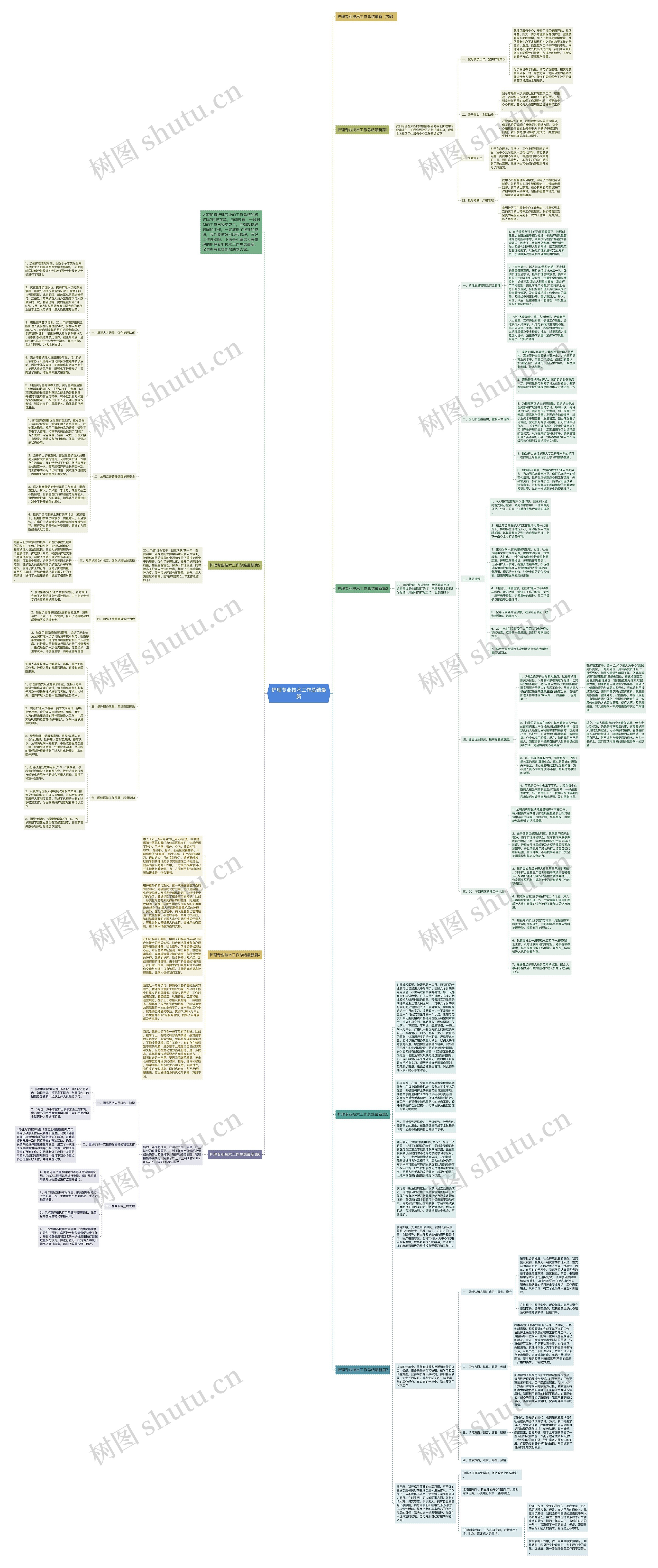 护理专业技术工作总结最新思维导图