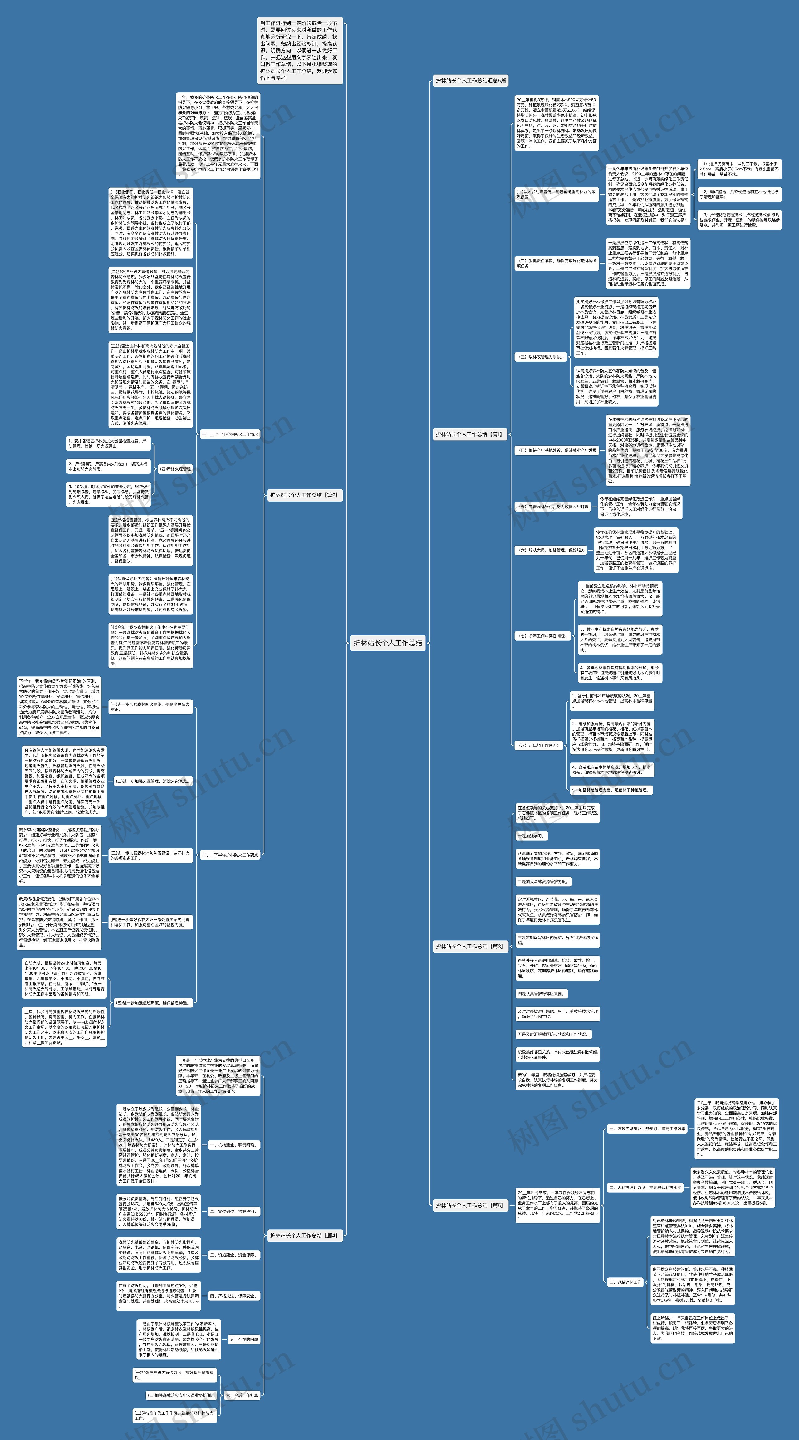 护林站长个人工作总结思维导图