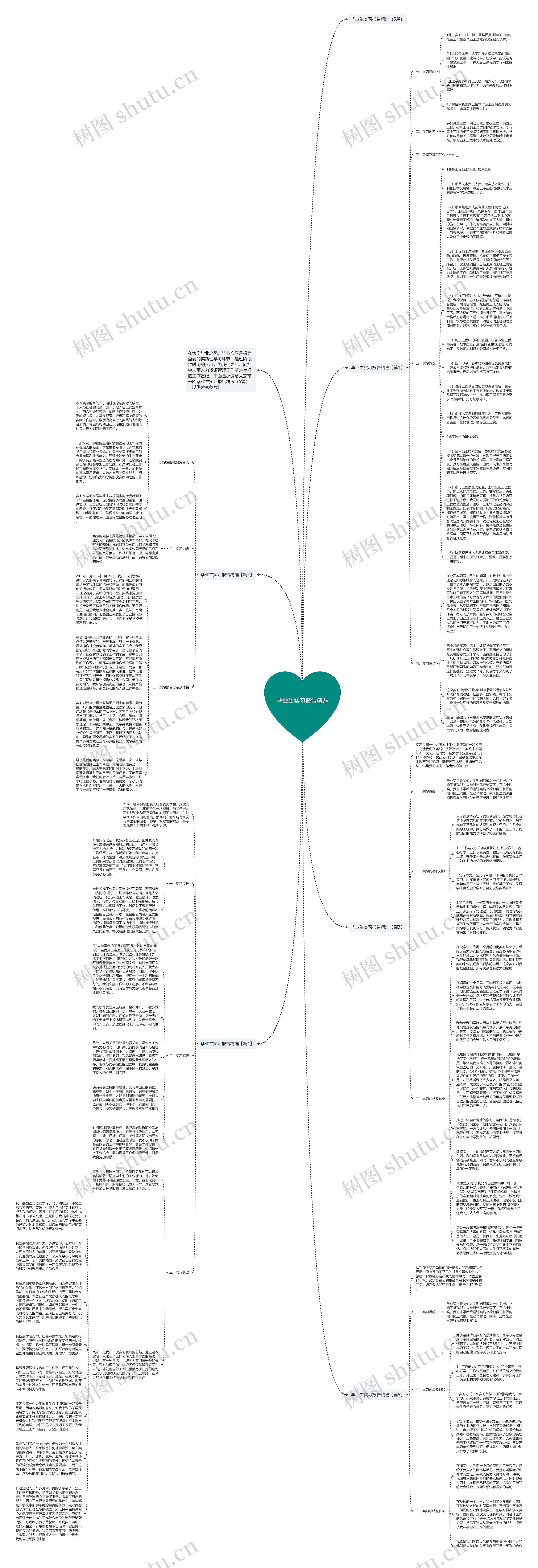 毕业生实习报告精选思维导图