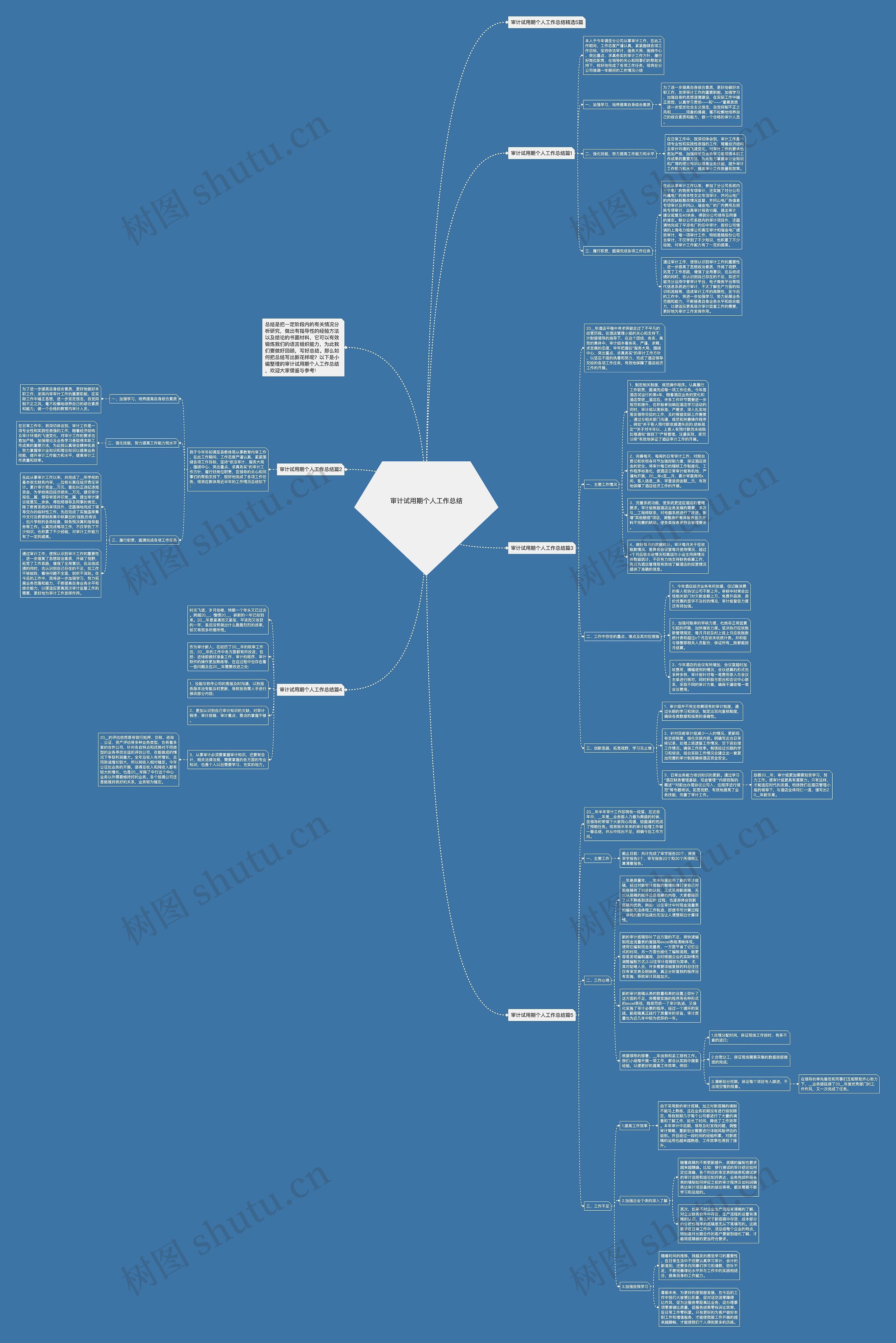 审计试用期个人工作总结思维导图