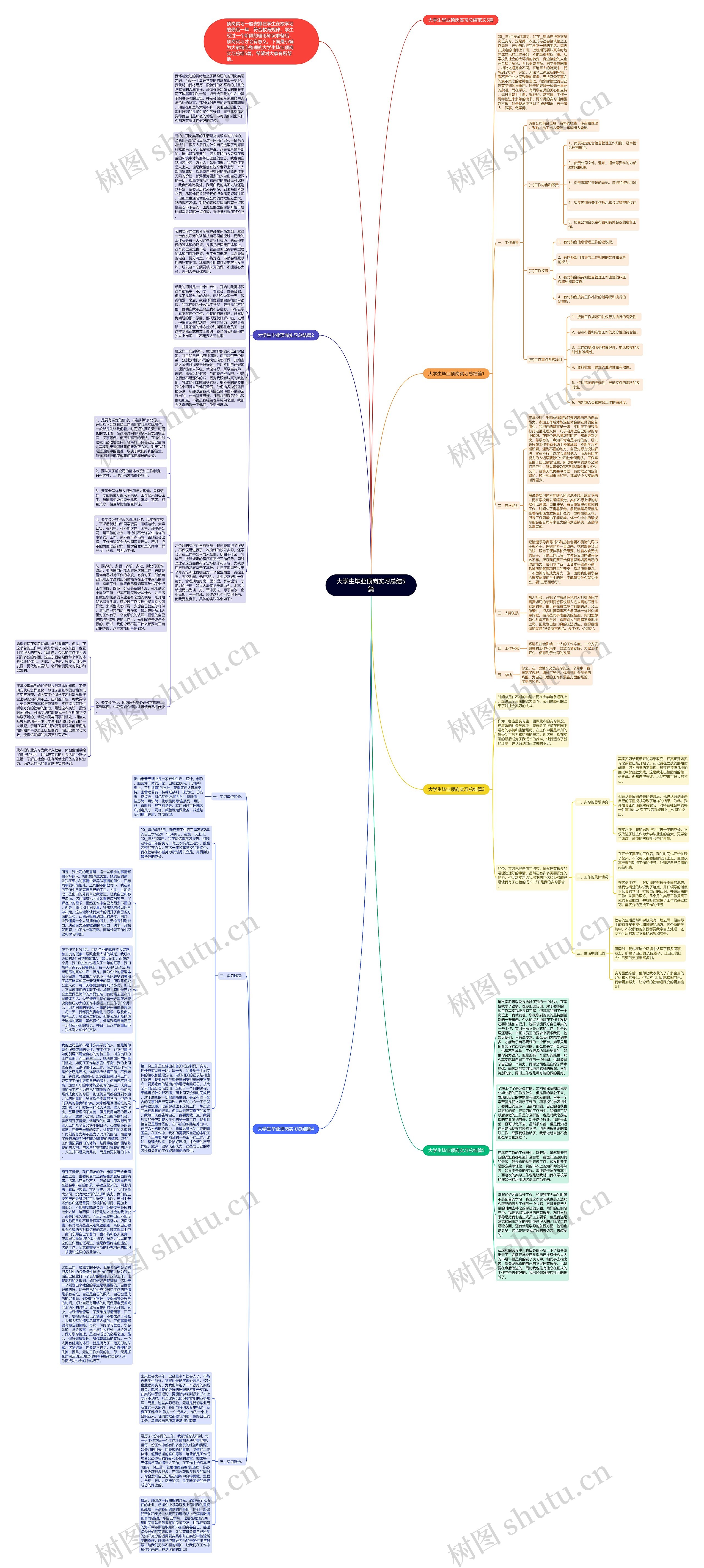 大学生毕业顶岗实习总结5篇思维导图
