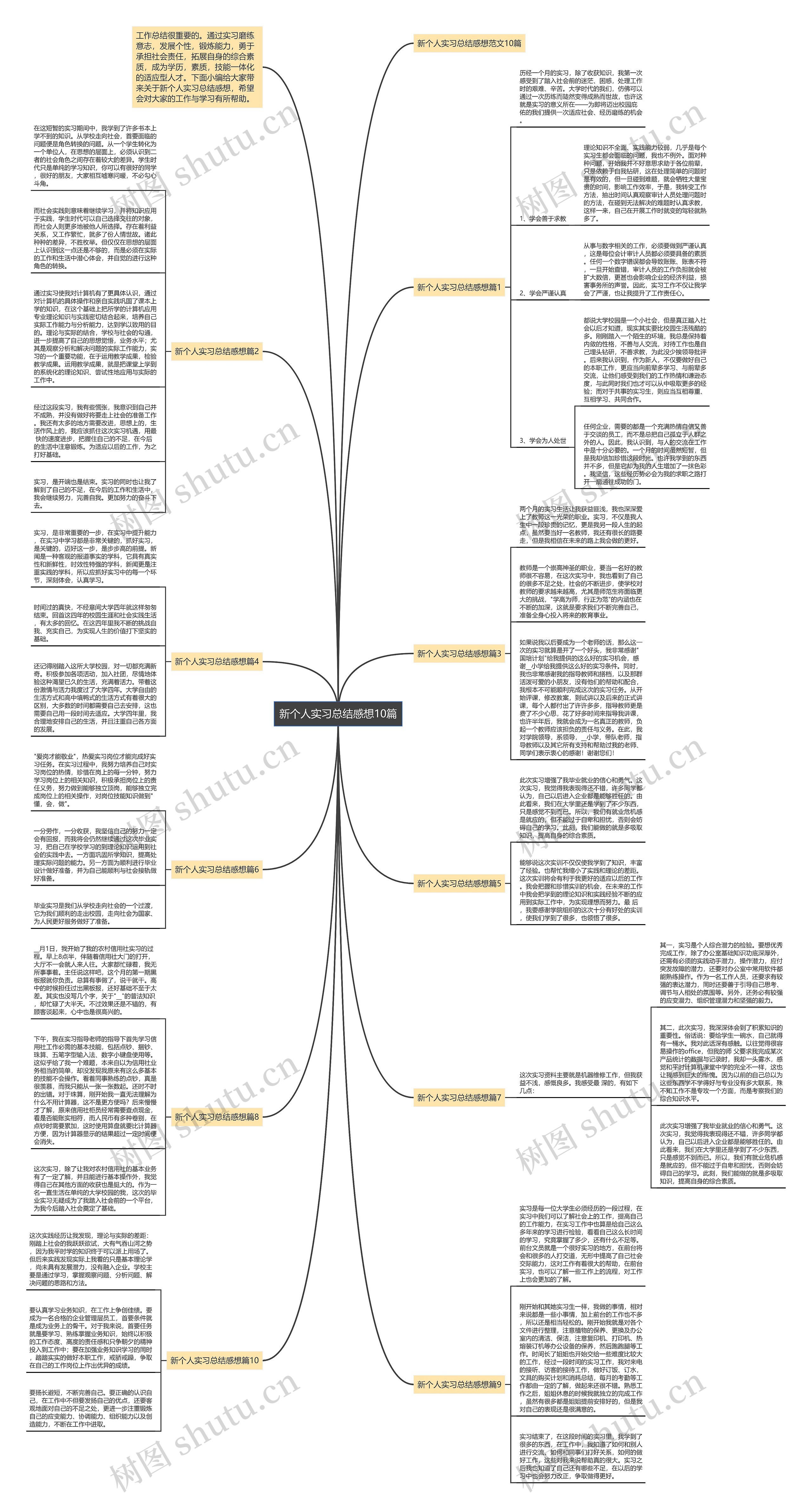 新个人实习总结感想10篇思维导图