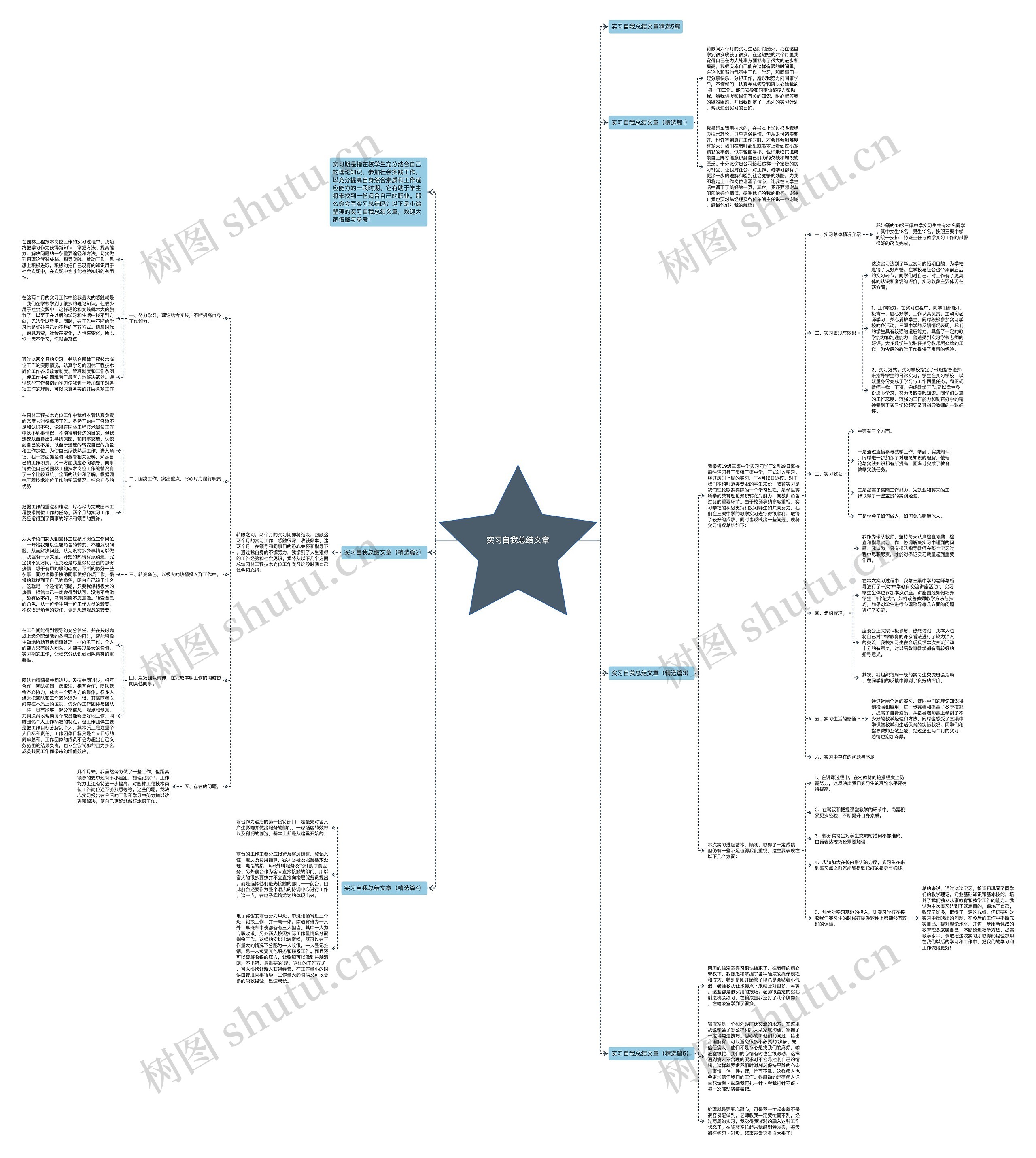 实习自我总结文章思维导图