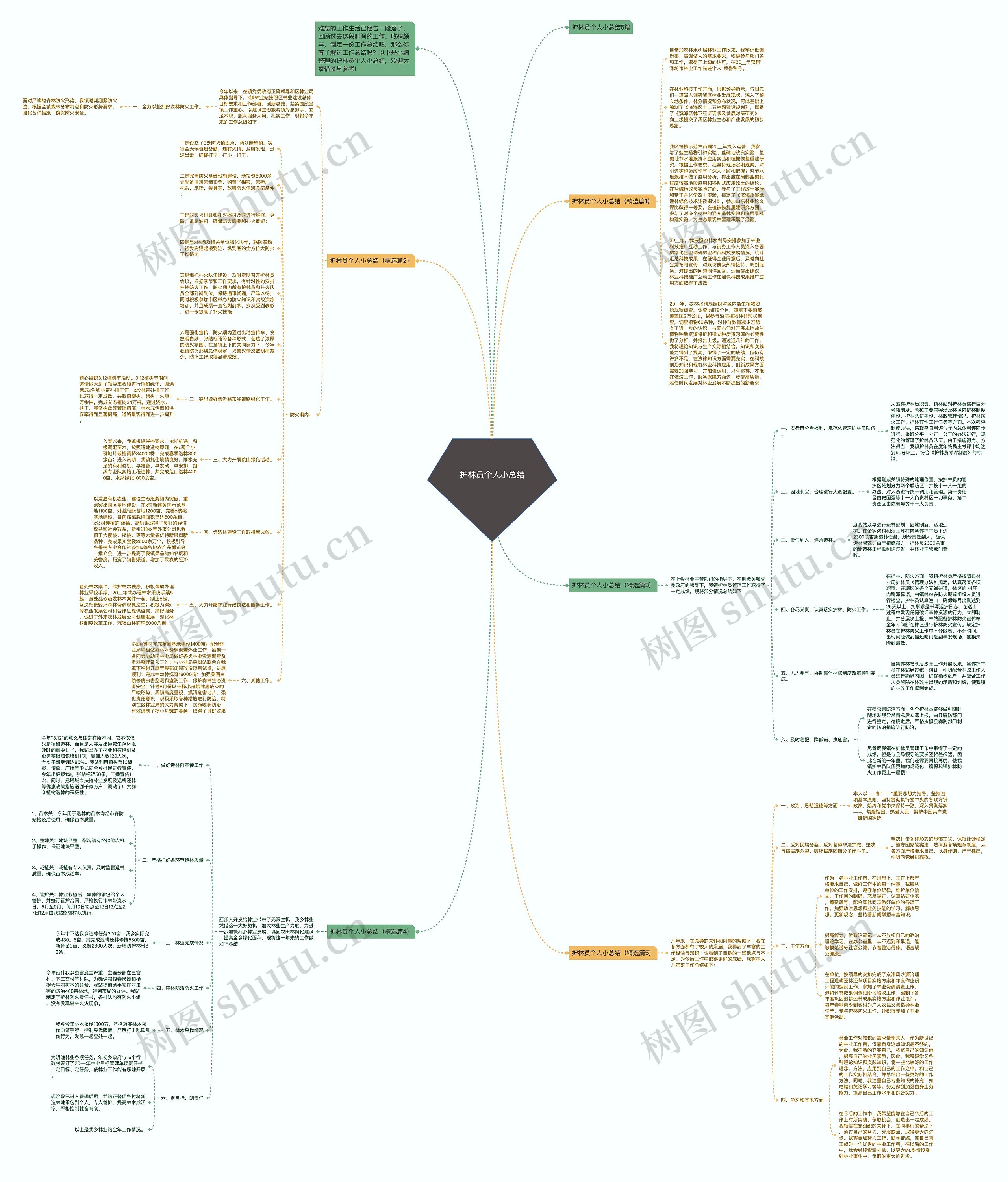护林员个人小总结思维导图
