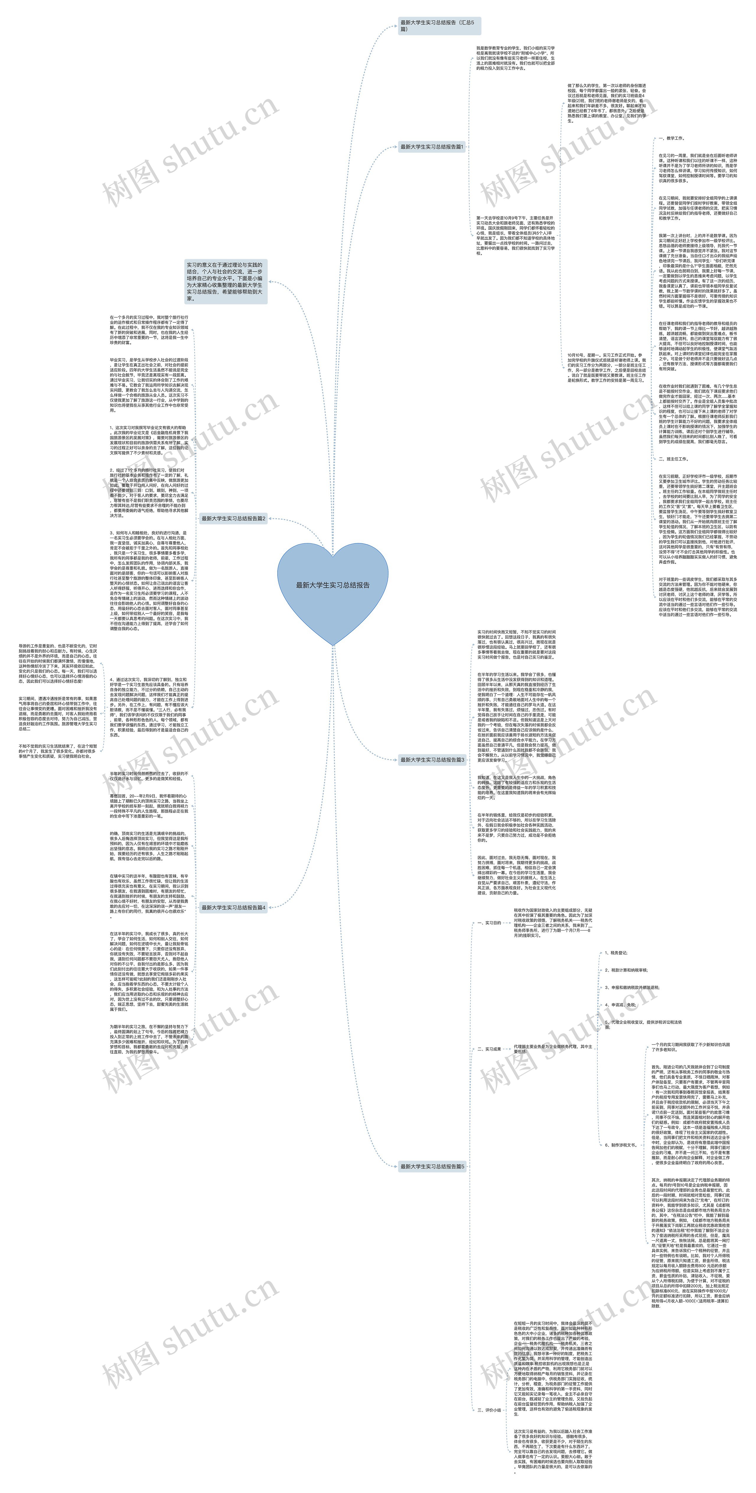 最新大学生实习总结报告思维导图
