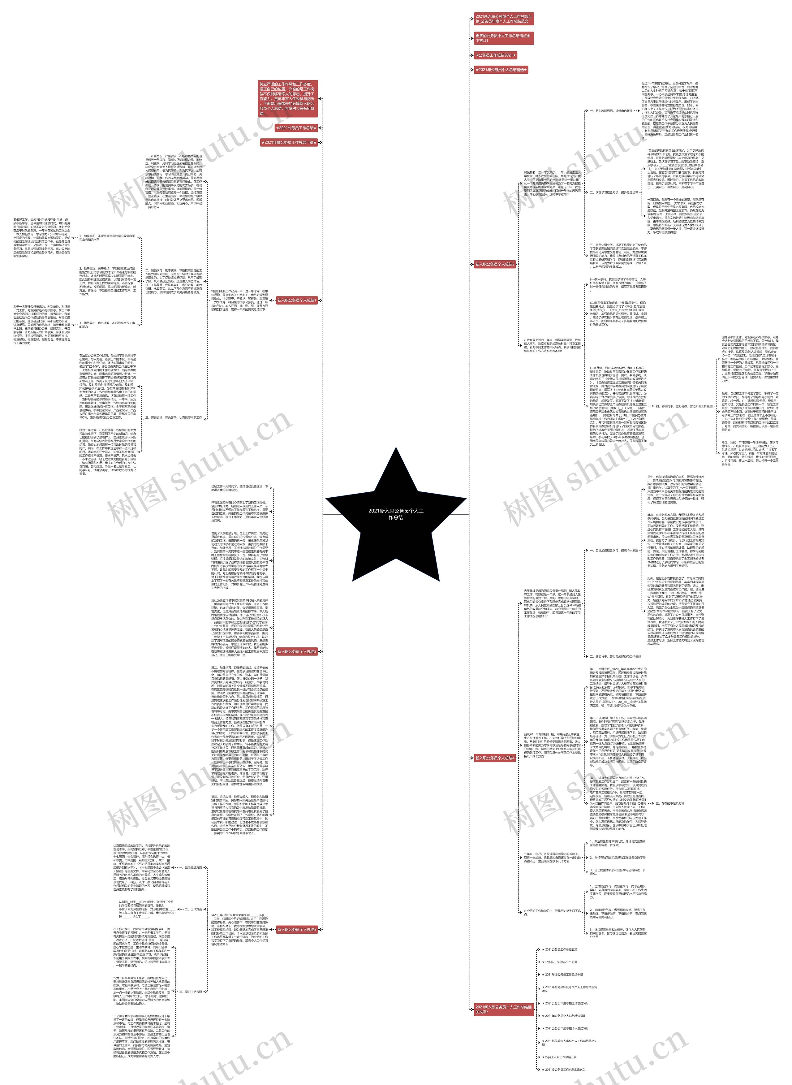 2021新入职公务员个人工作总结思维导图