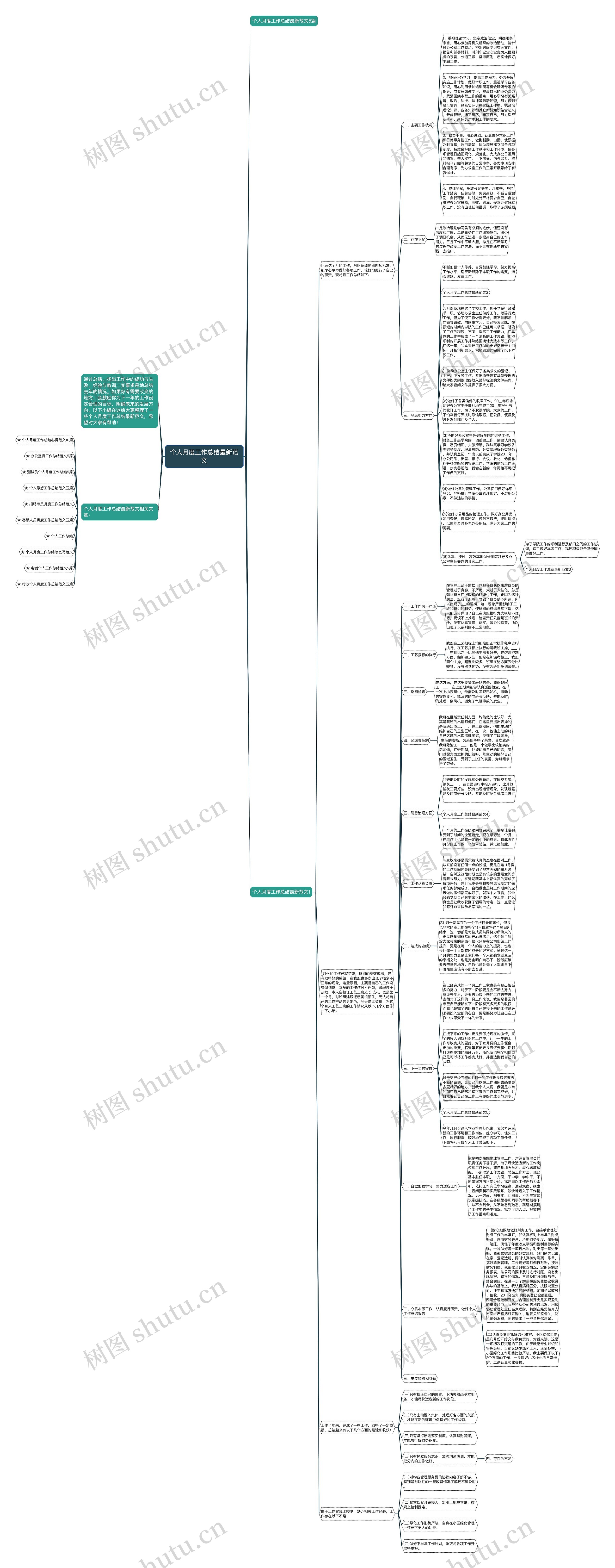 个人月度工作总结最新范文思维导图
