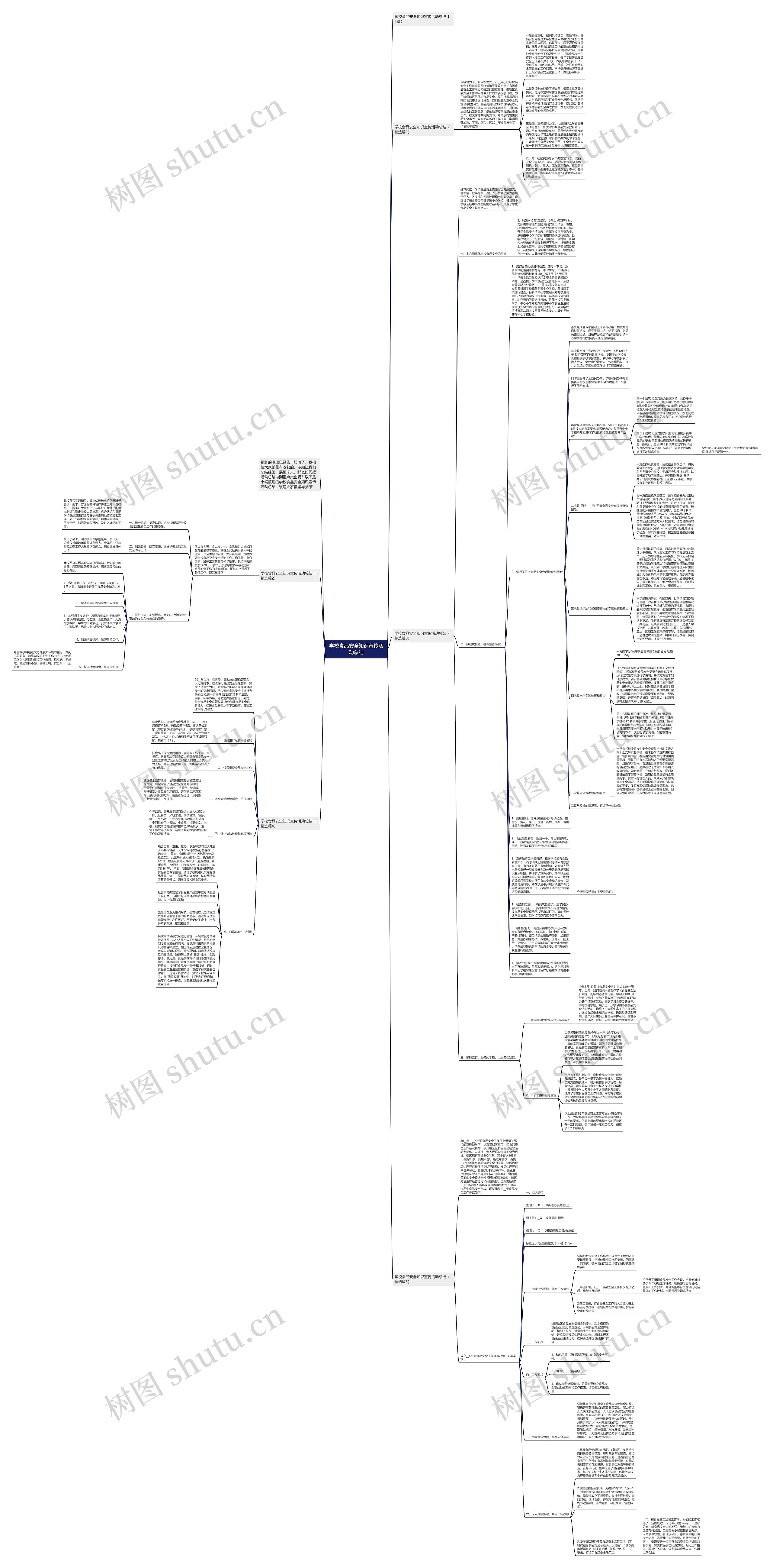学校食品安全知识宣传活动总结思维导图