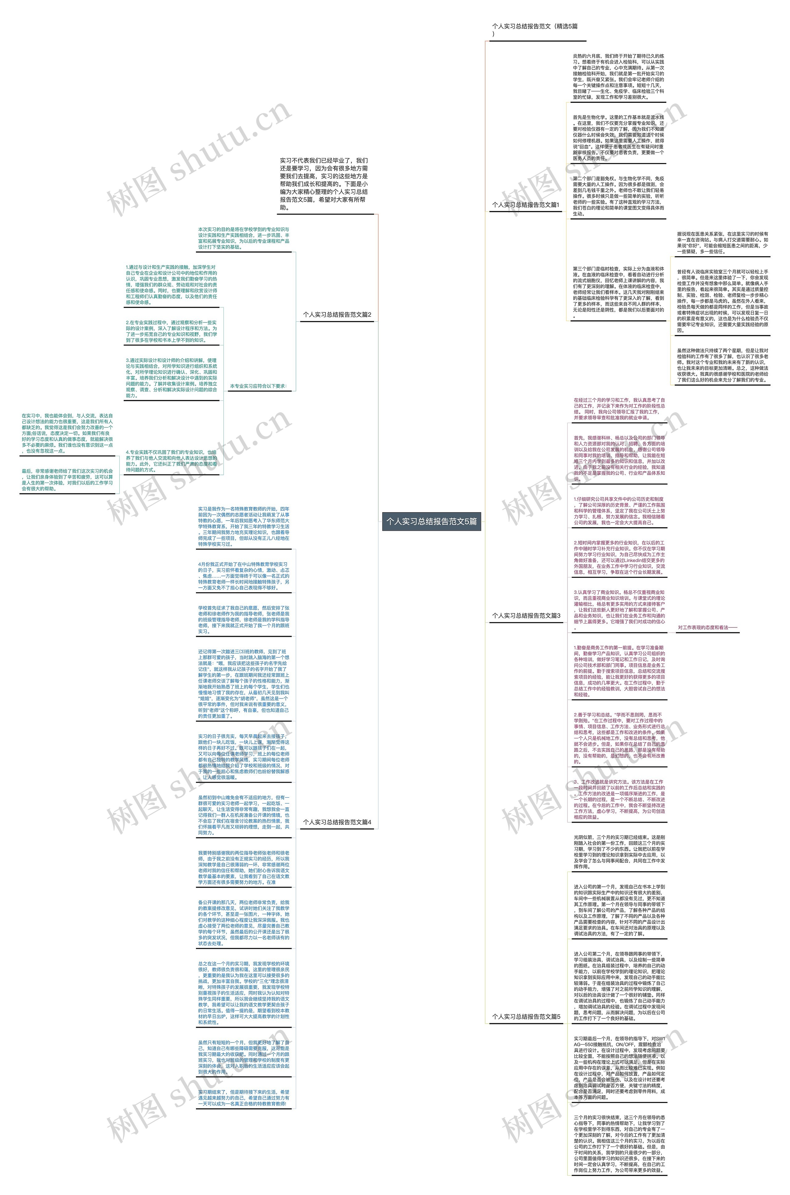 个人实习总结报告范文5篇思维导图