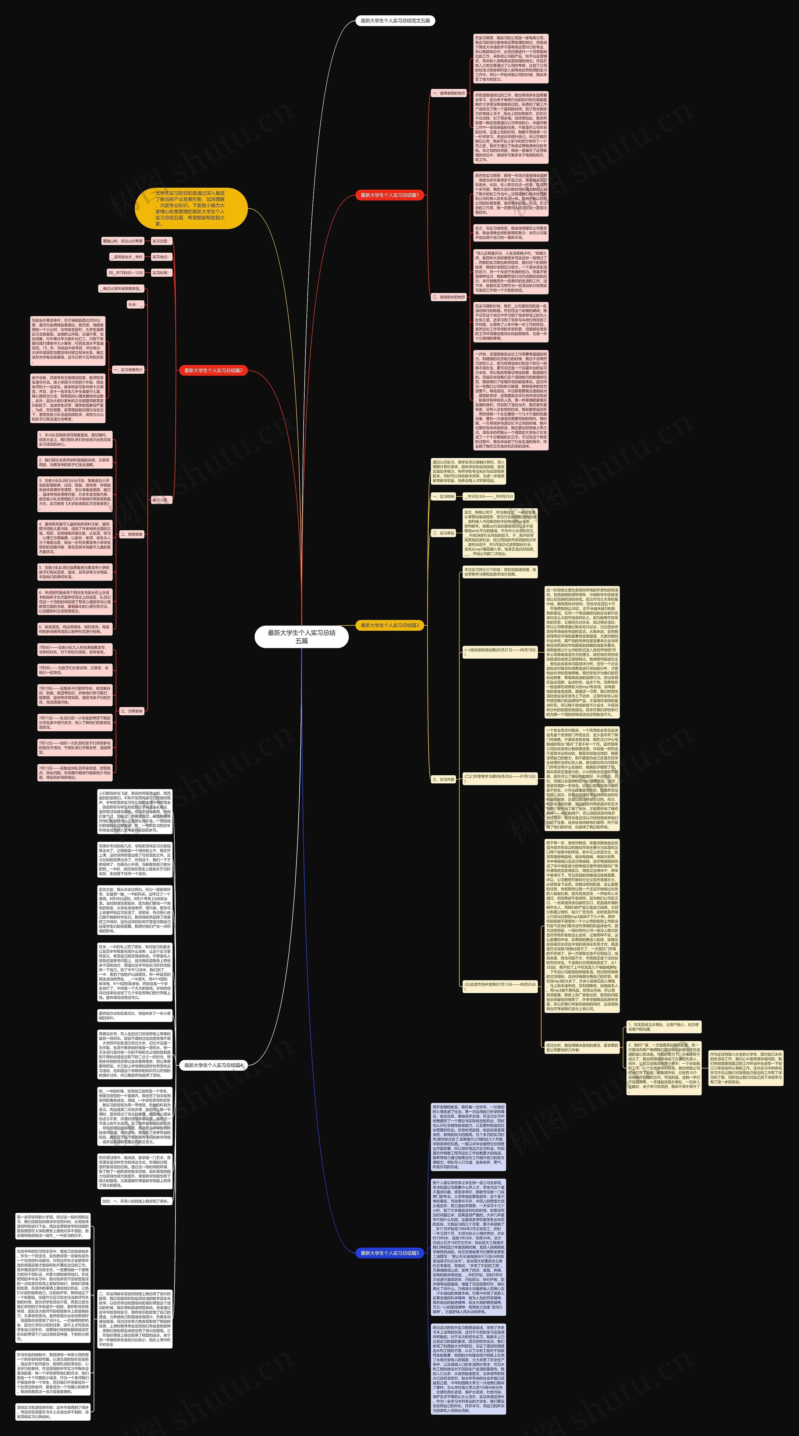 最新大学生个人实习总结五篇思维导图