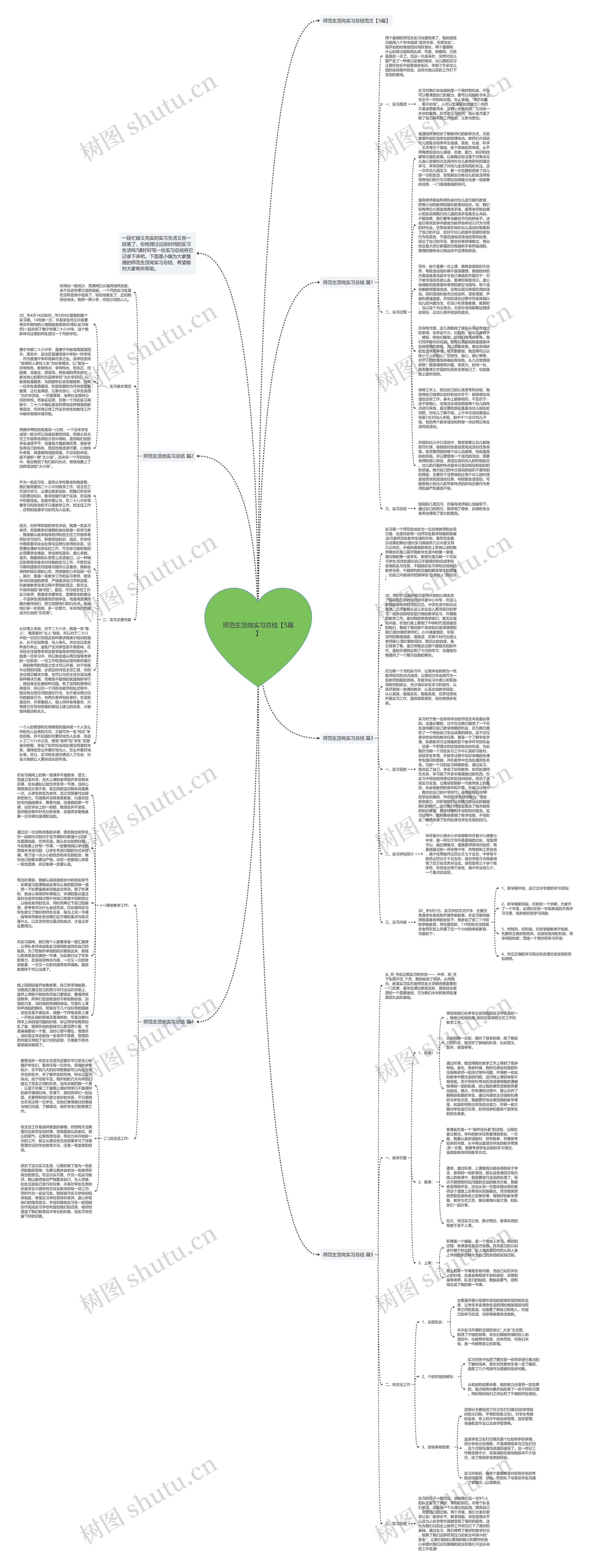 师范生顶岗实习总结【5篇】思维导图