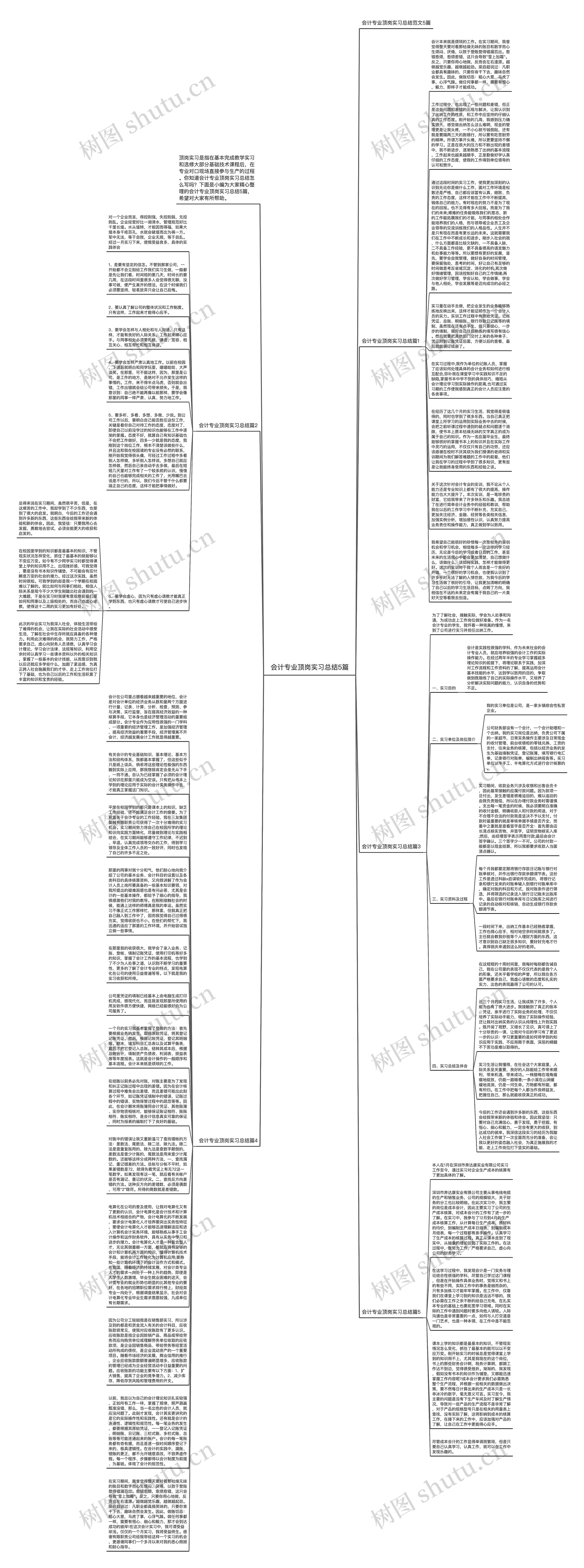 会计专业顶岗实习总结5篇思维导图