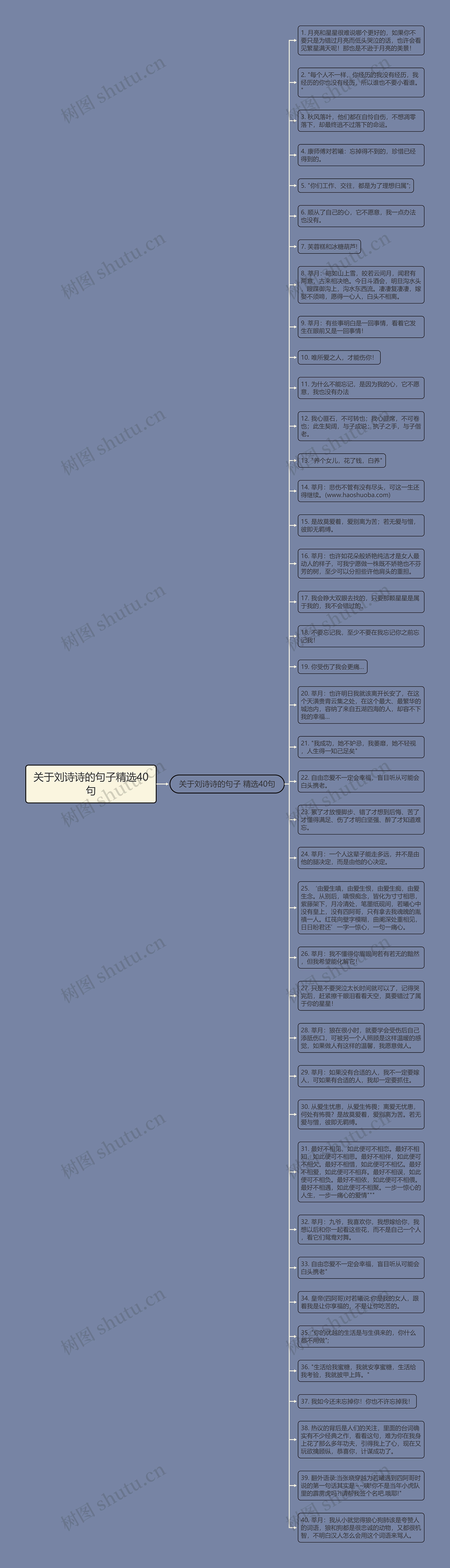 关于刘诗诗的句子精选40句