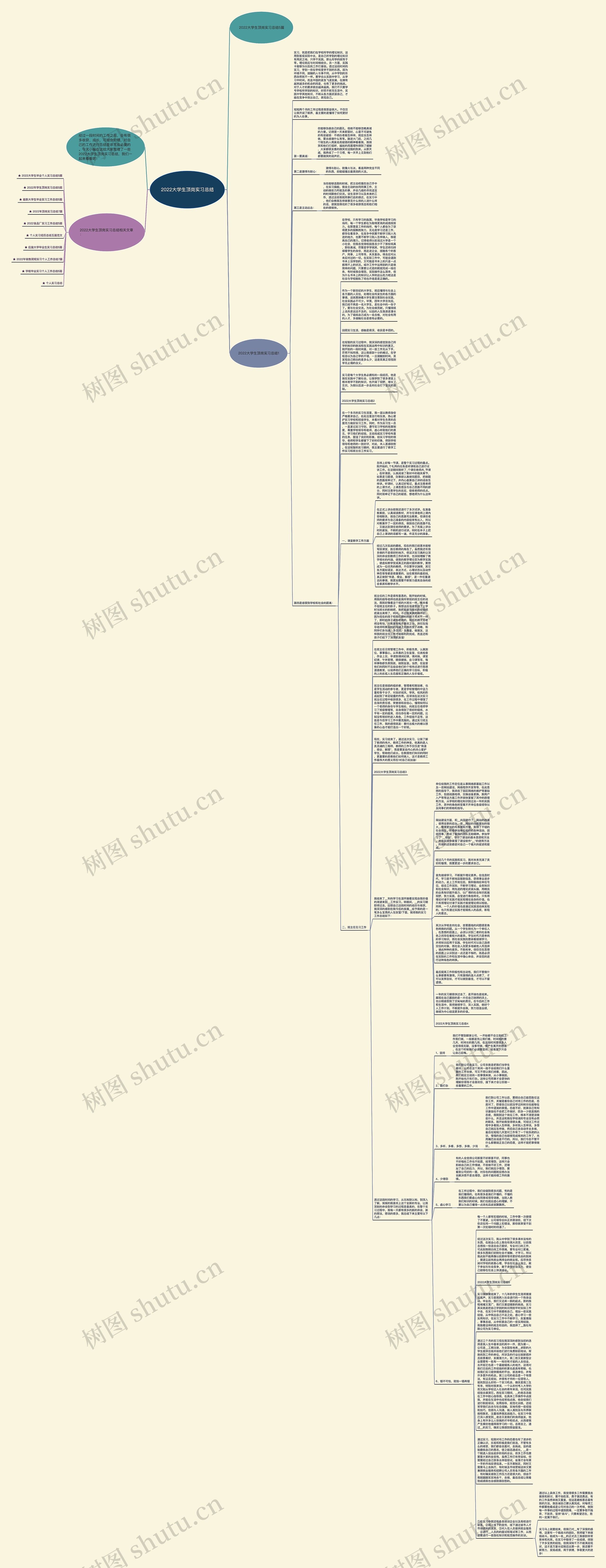 2022大学生顶岗实习总结思维导图高清图 2022大学生顶岗实习总结思维导图