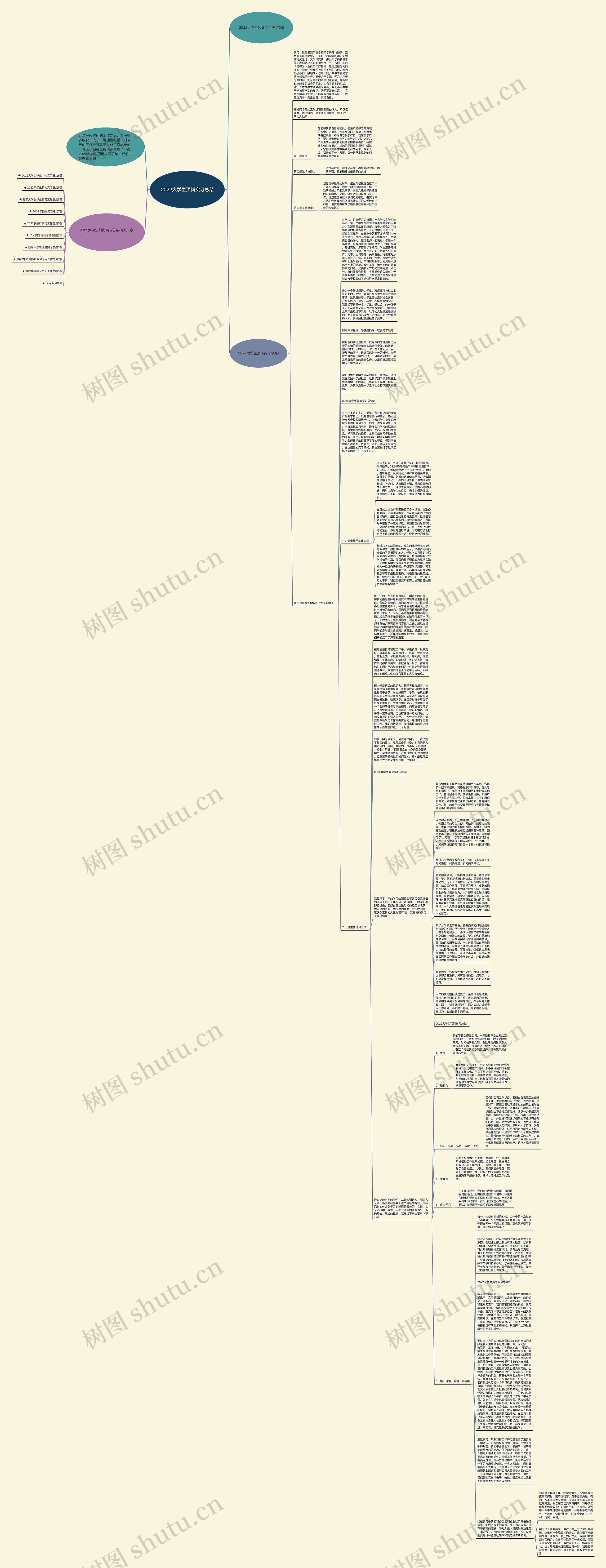 2022大学生顶岗实习总结思维导图