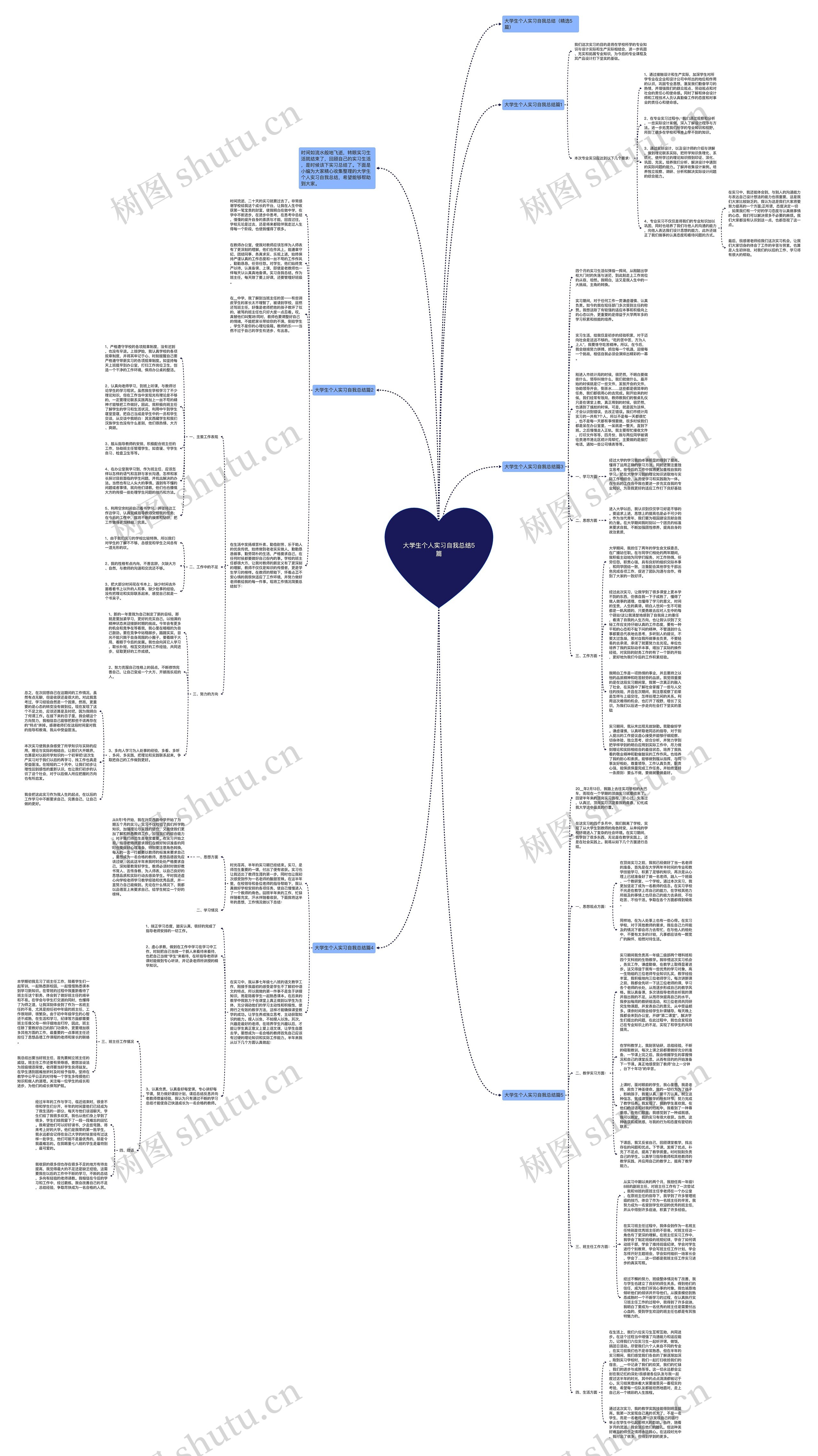 大学生个人实习自我总结5篇思维导图