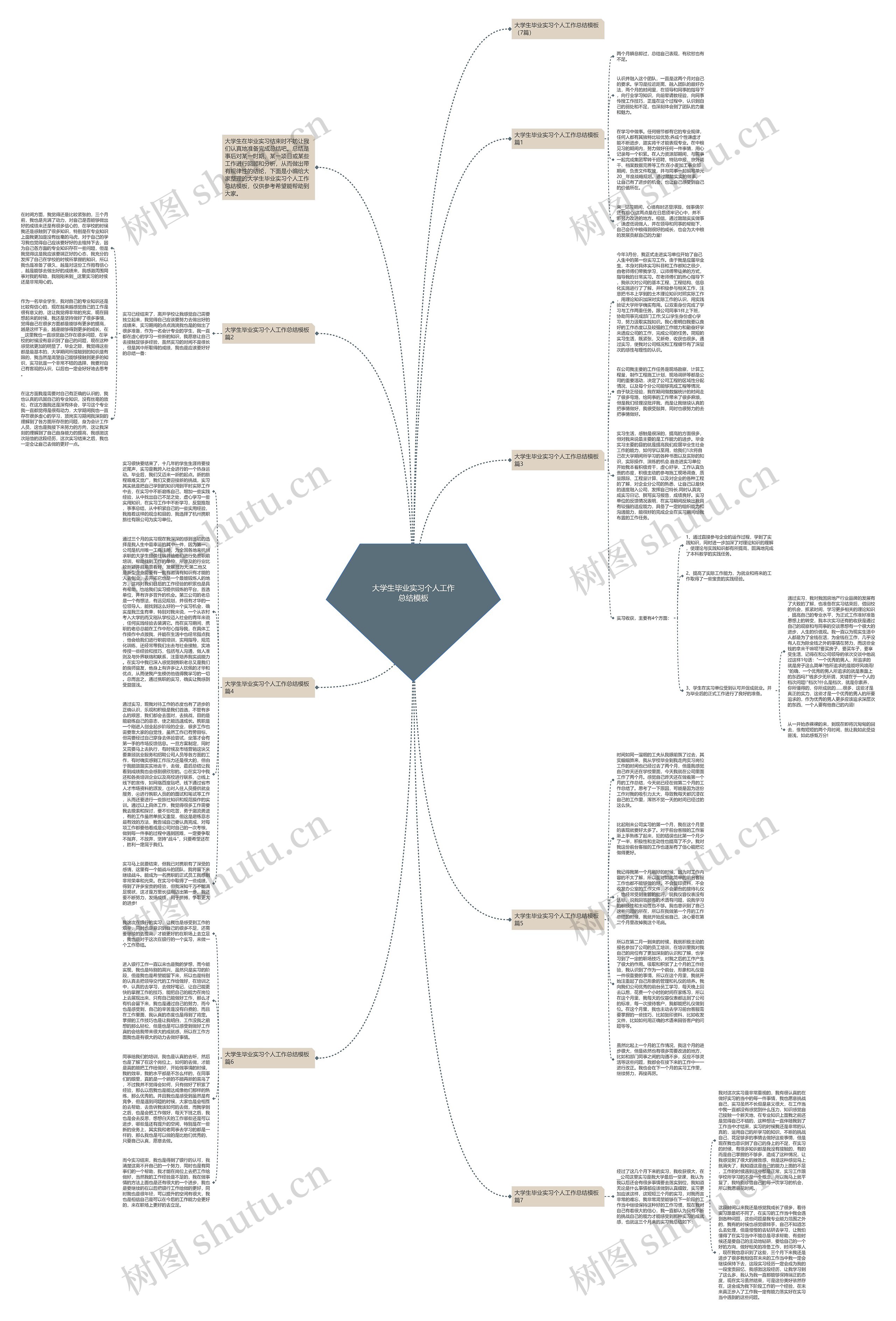 大学生毕业实习个人工作总结思维导图