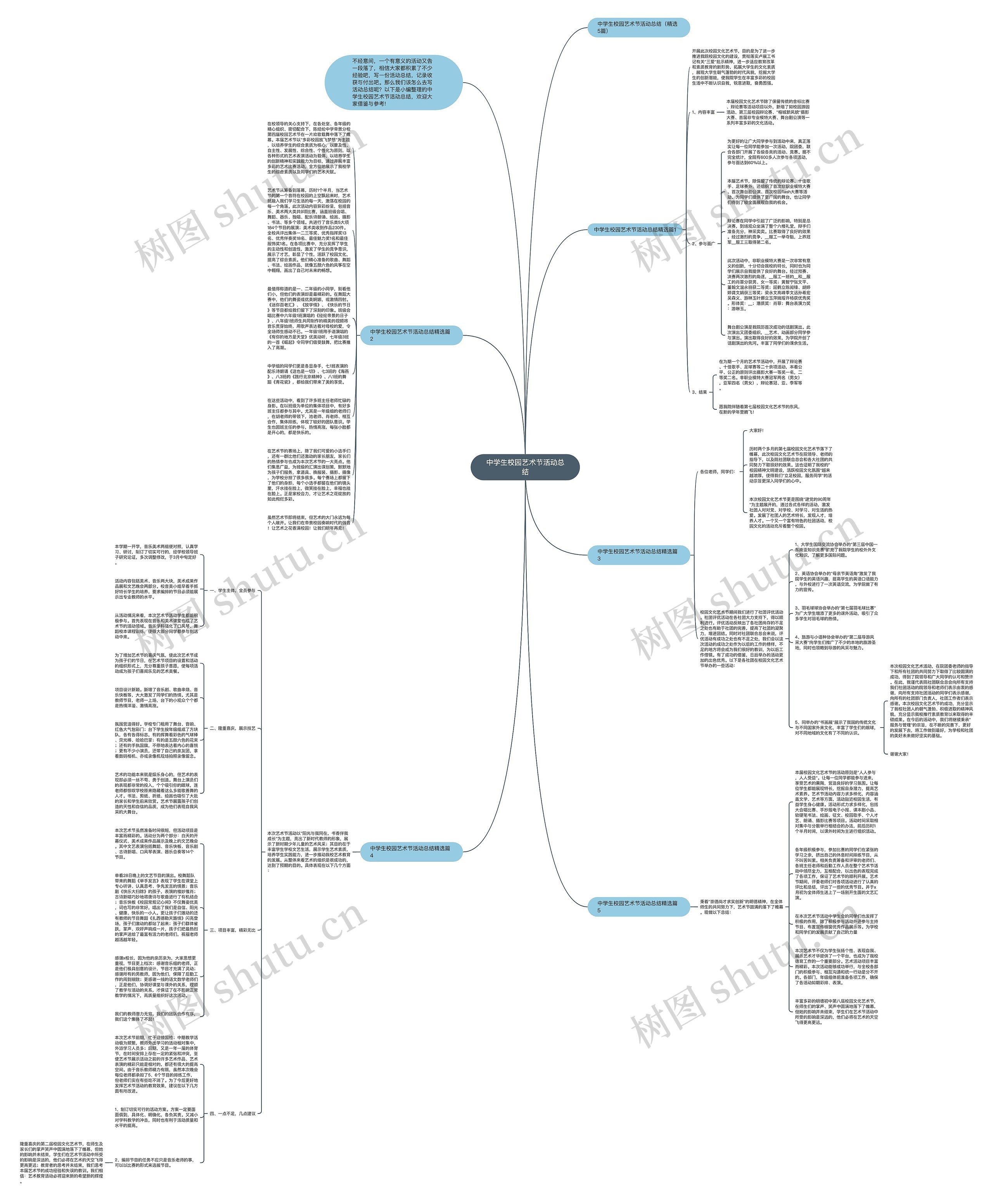 中学生校园艺术节活动总结思维导图
