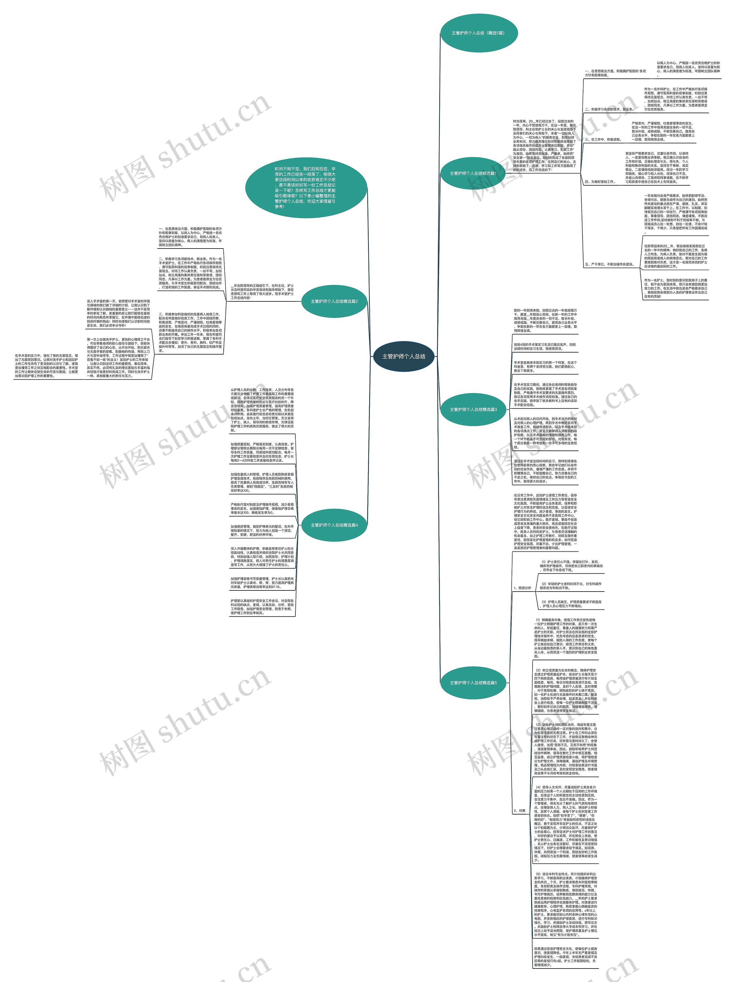 主管护师个人总结思维导图