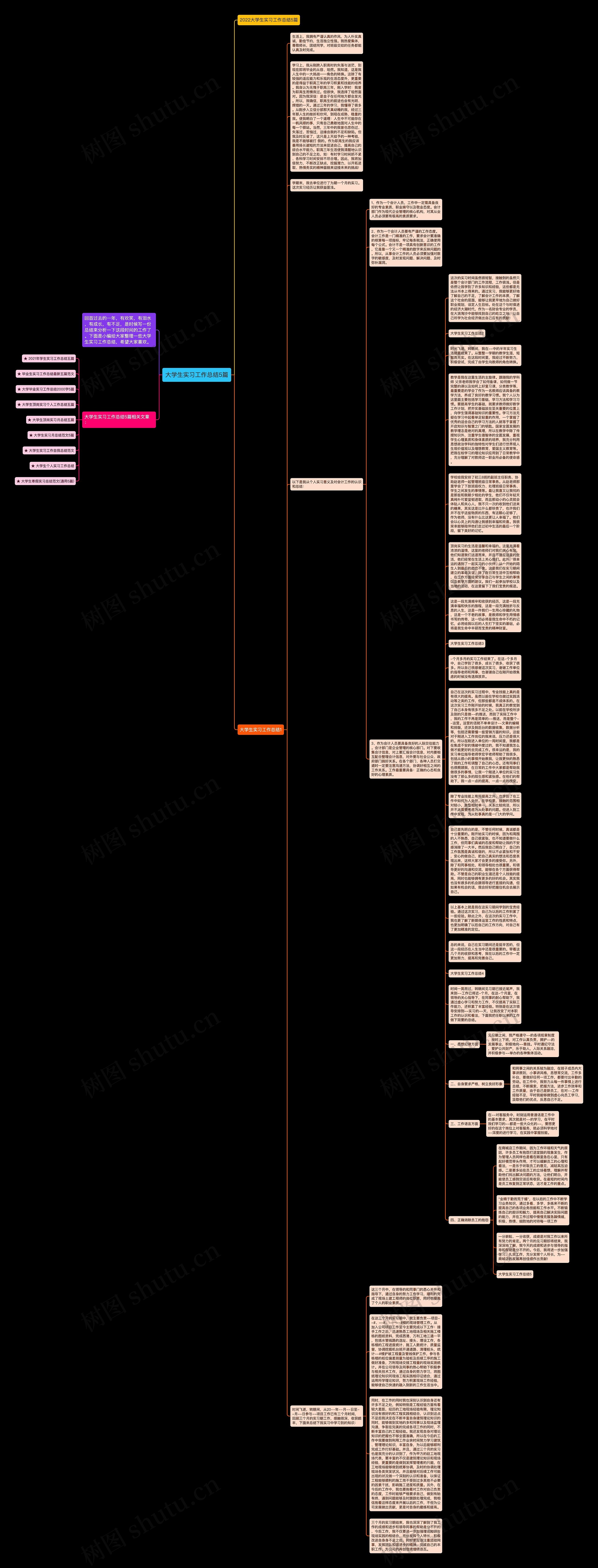 大学生实习工作总结5篇思维导图
