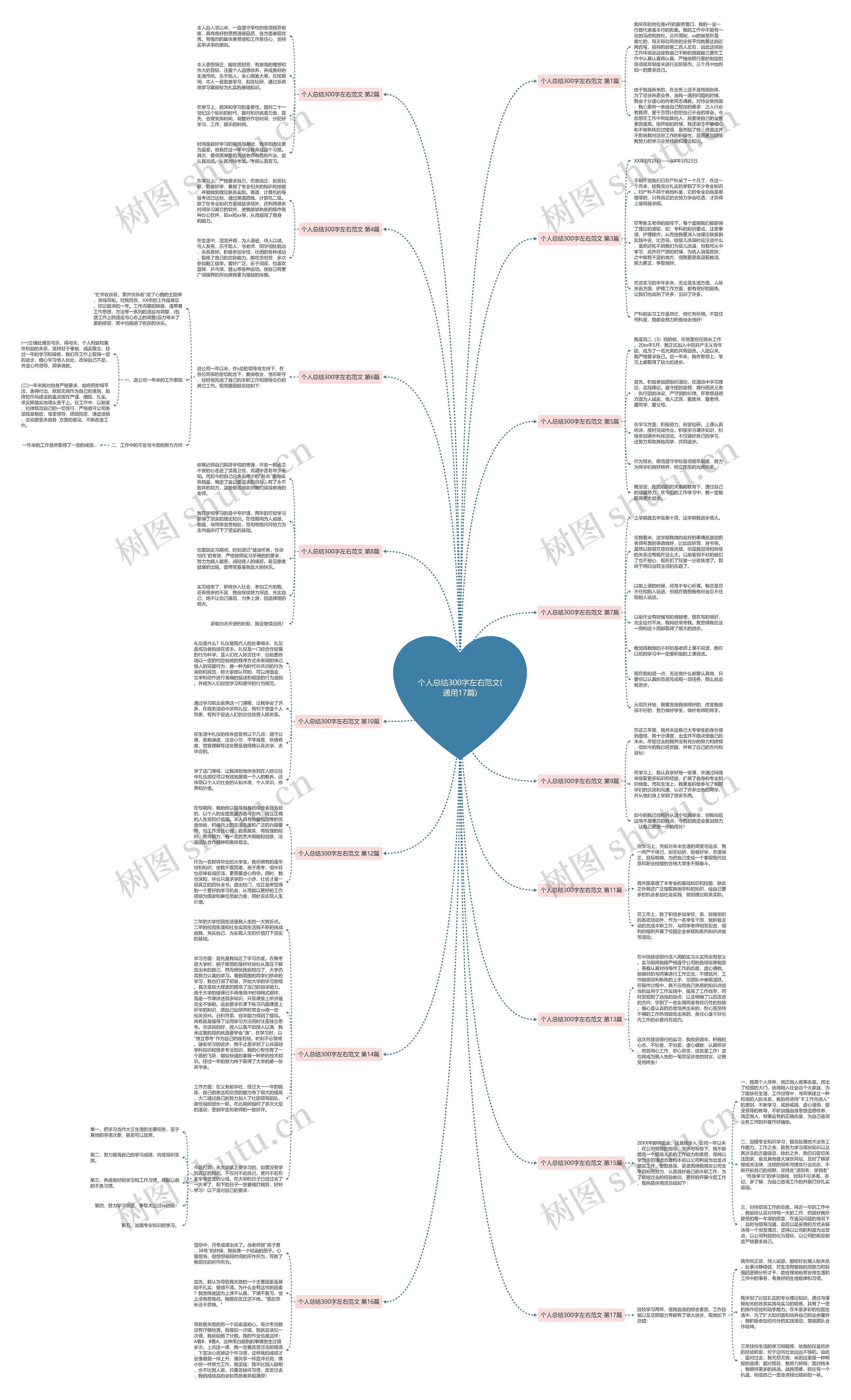 个人总结300字左右范文(通用17篇)思维导图