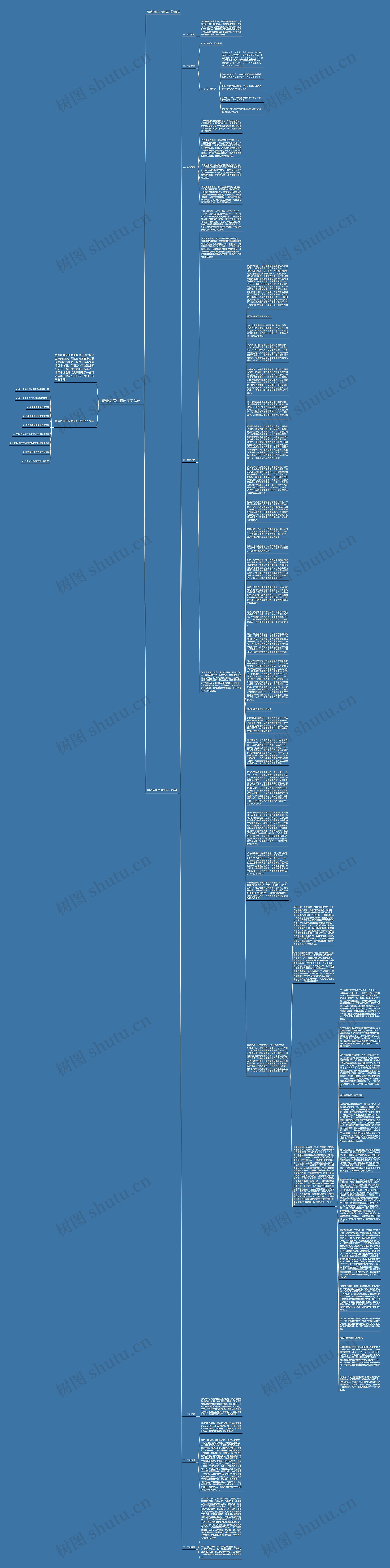 精选应届生顶岗实习总结思维导图