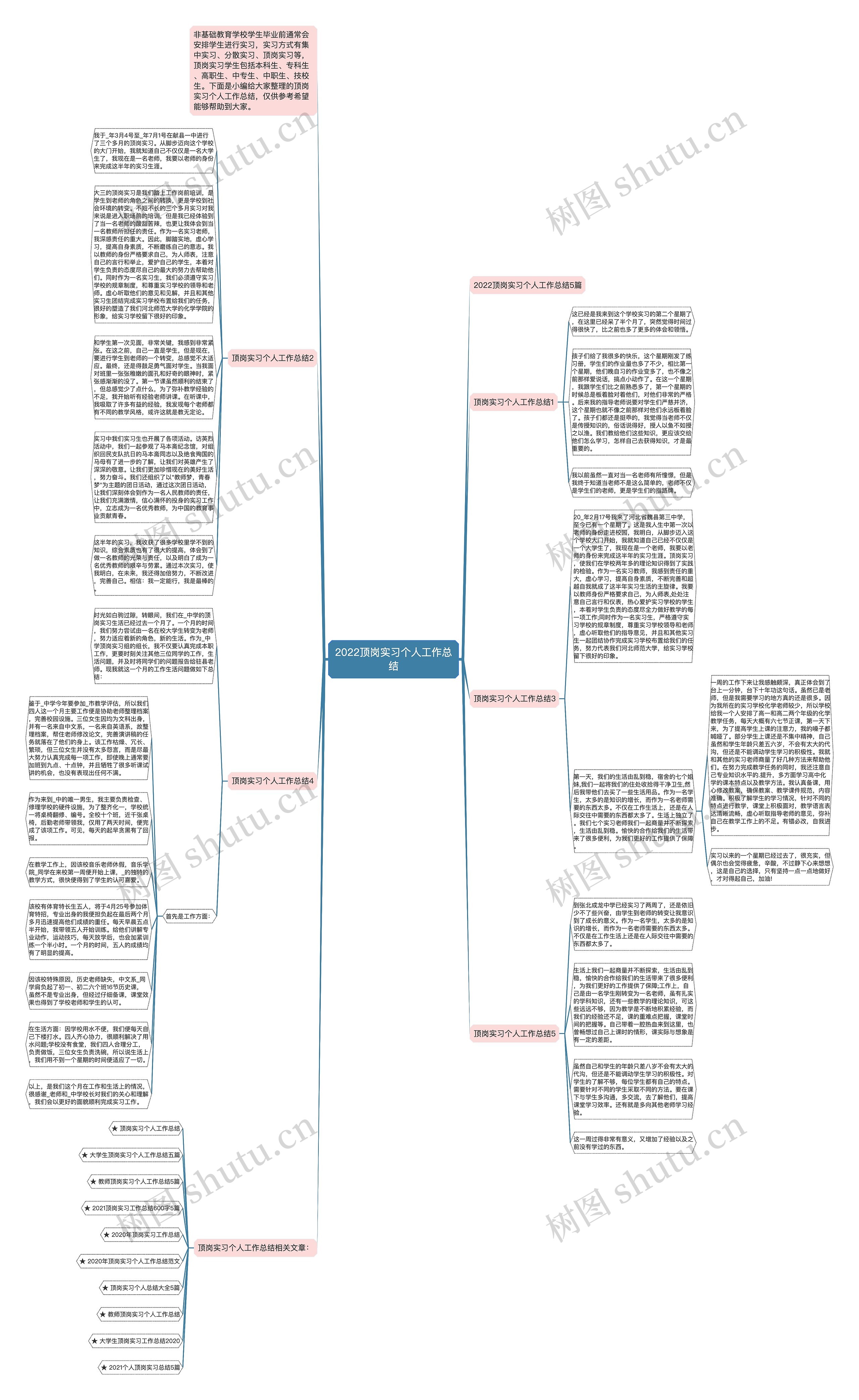 2022顶岗实习个人工作总结思维导图