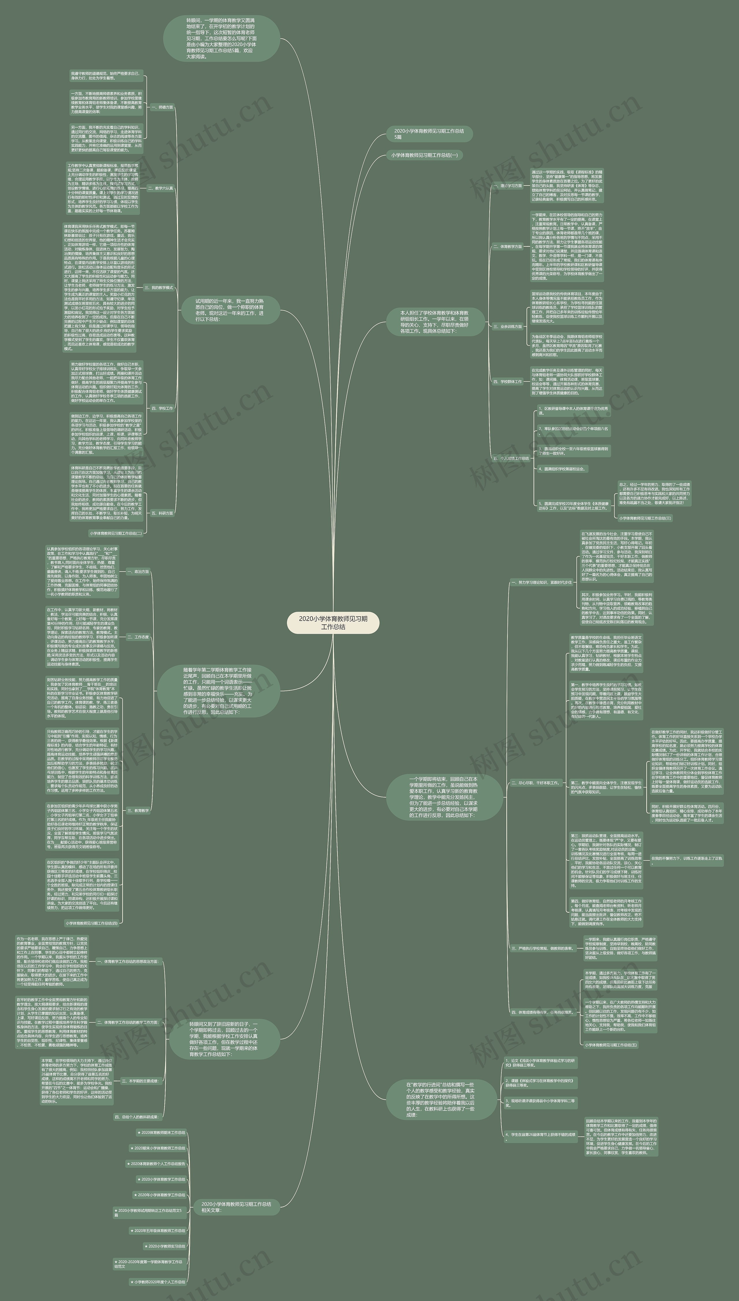 2020小学体育教师见习期工作总结思维导图