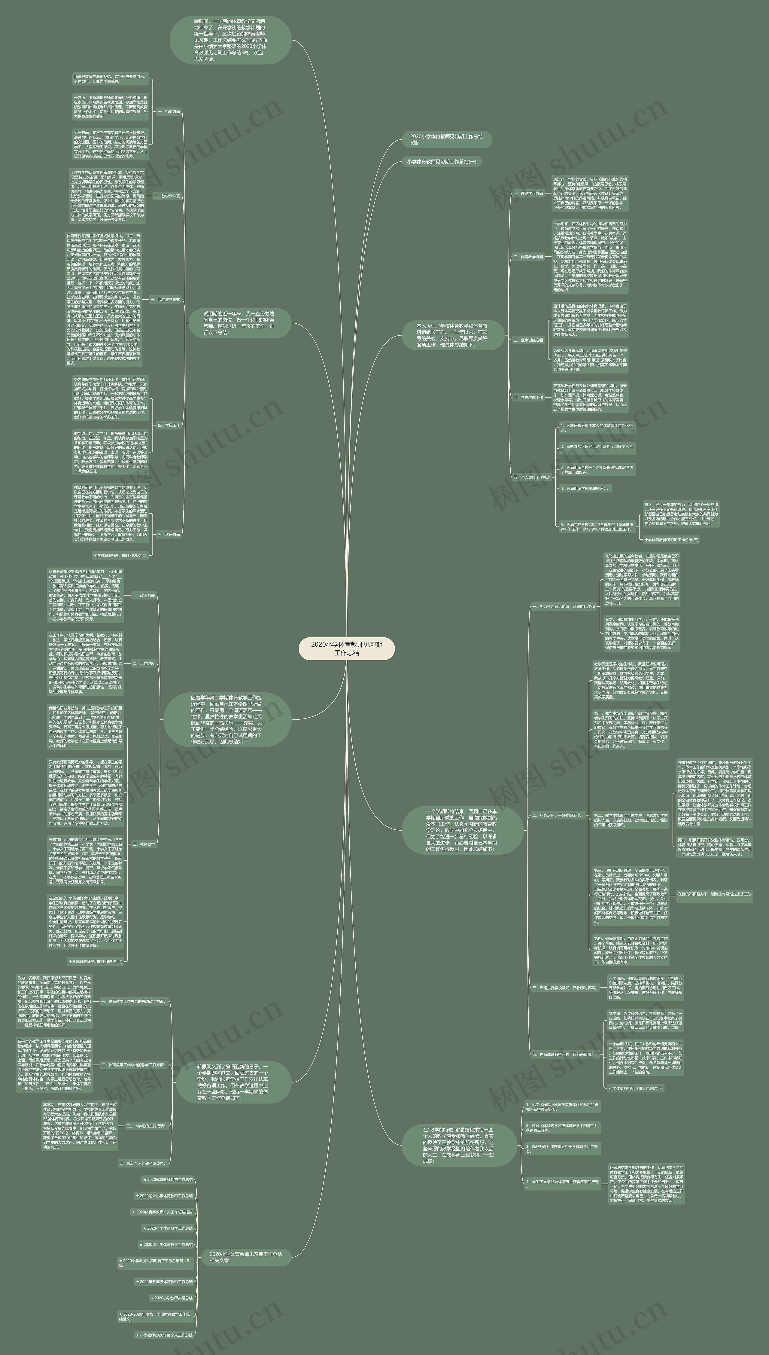 2020小学体育教师见习期工作总结思维导图高清图 2020小学体育教师见习期工作总结思维导图