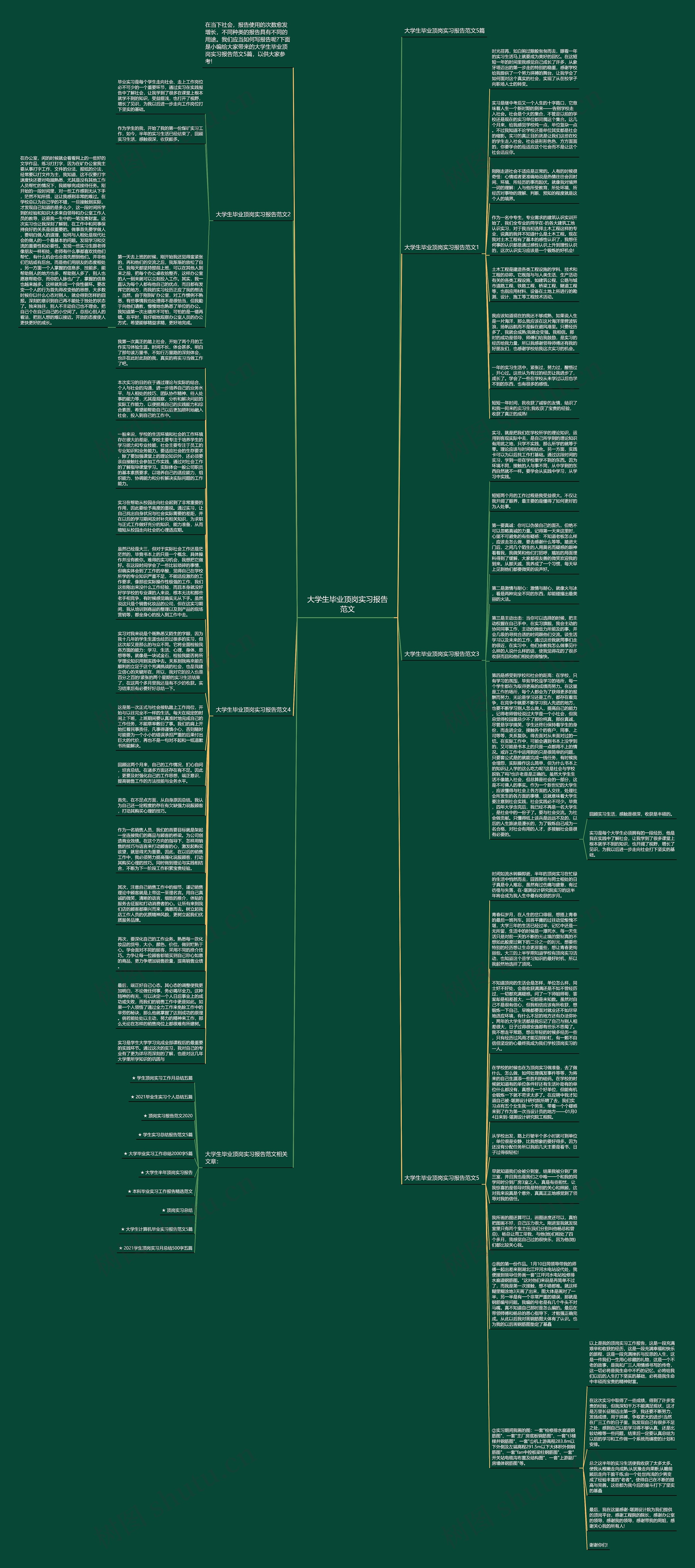 大学生毕业顶岗实习报告范文思维导图
