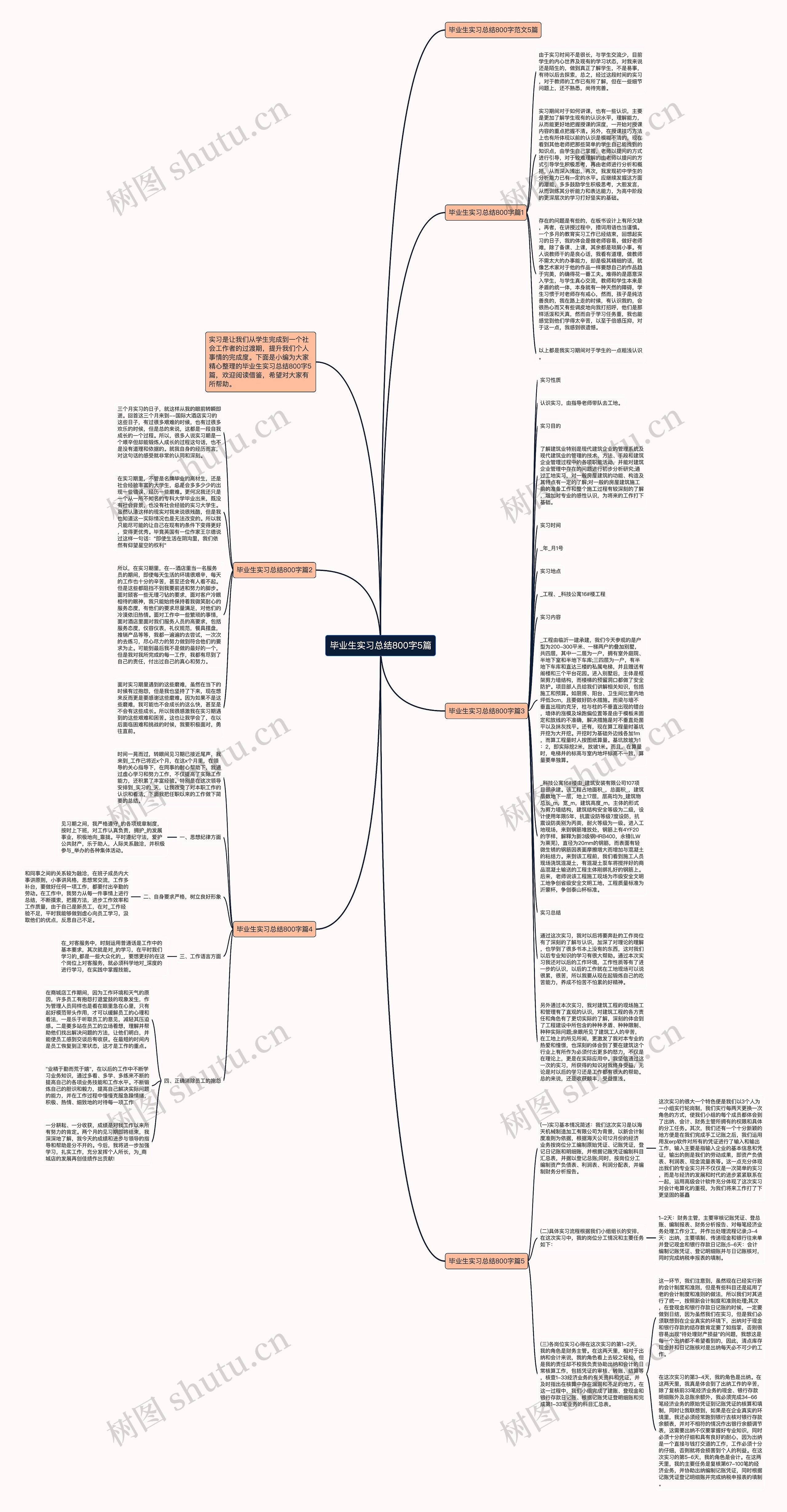 毕业生实习总结800字5篇思维导图