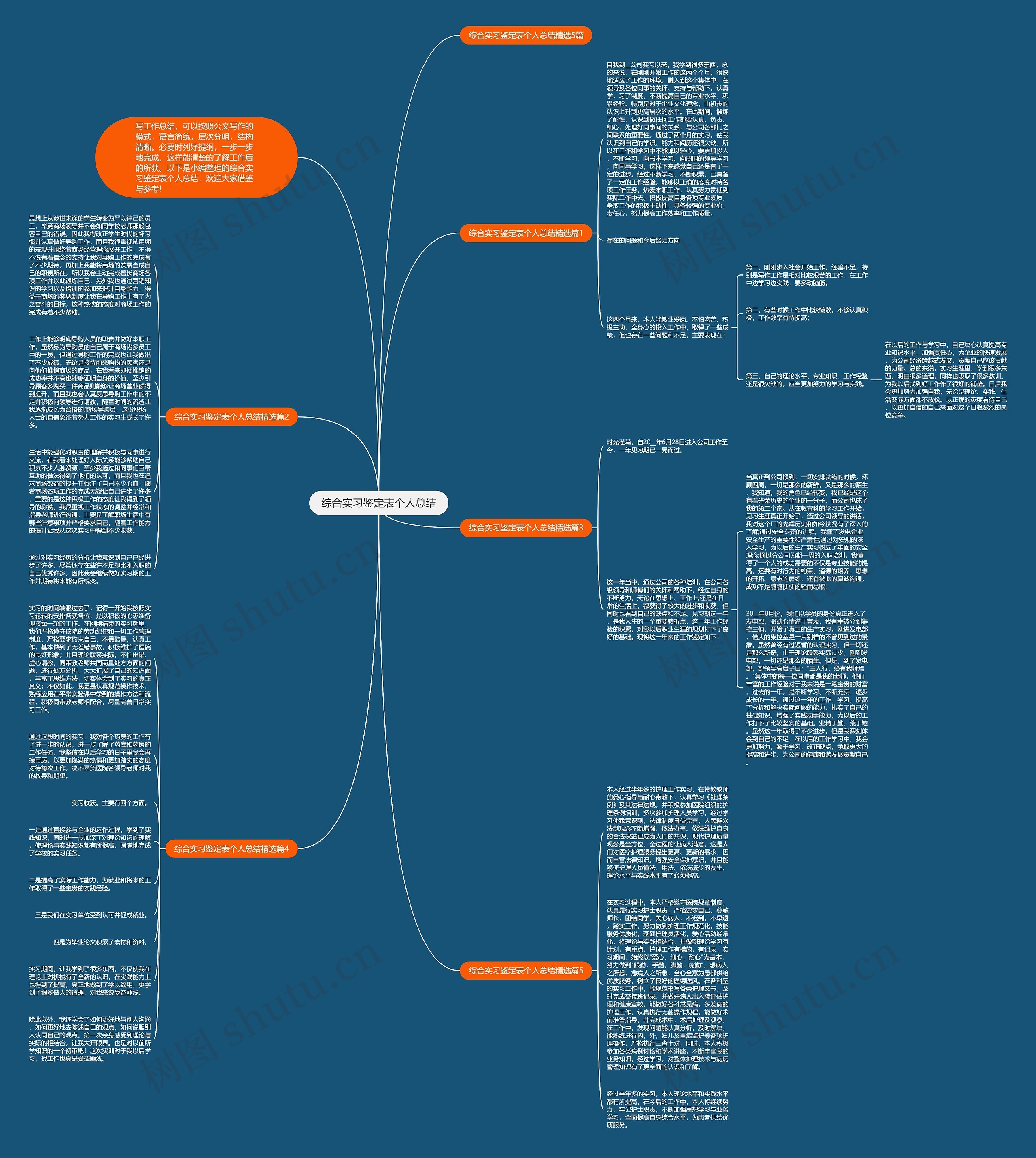 综合实习鉴定表个人总结思维导图