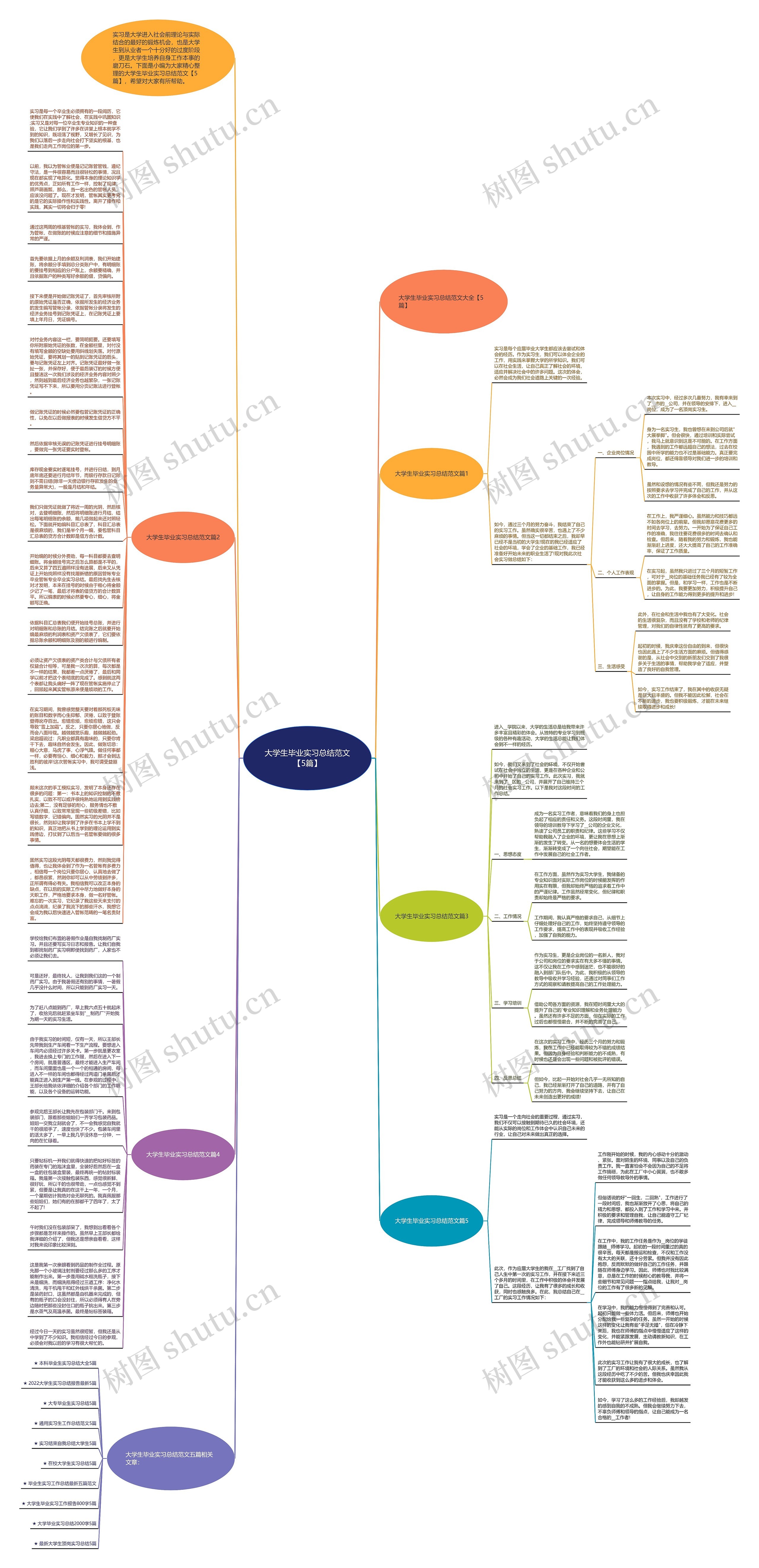 大学生毕业实习总结范文【5篇】思维导图