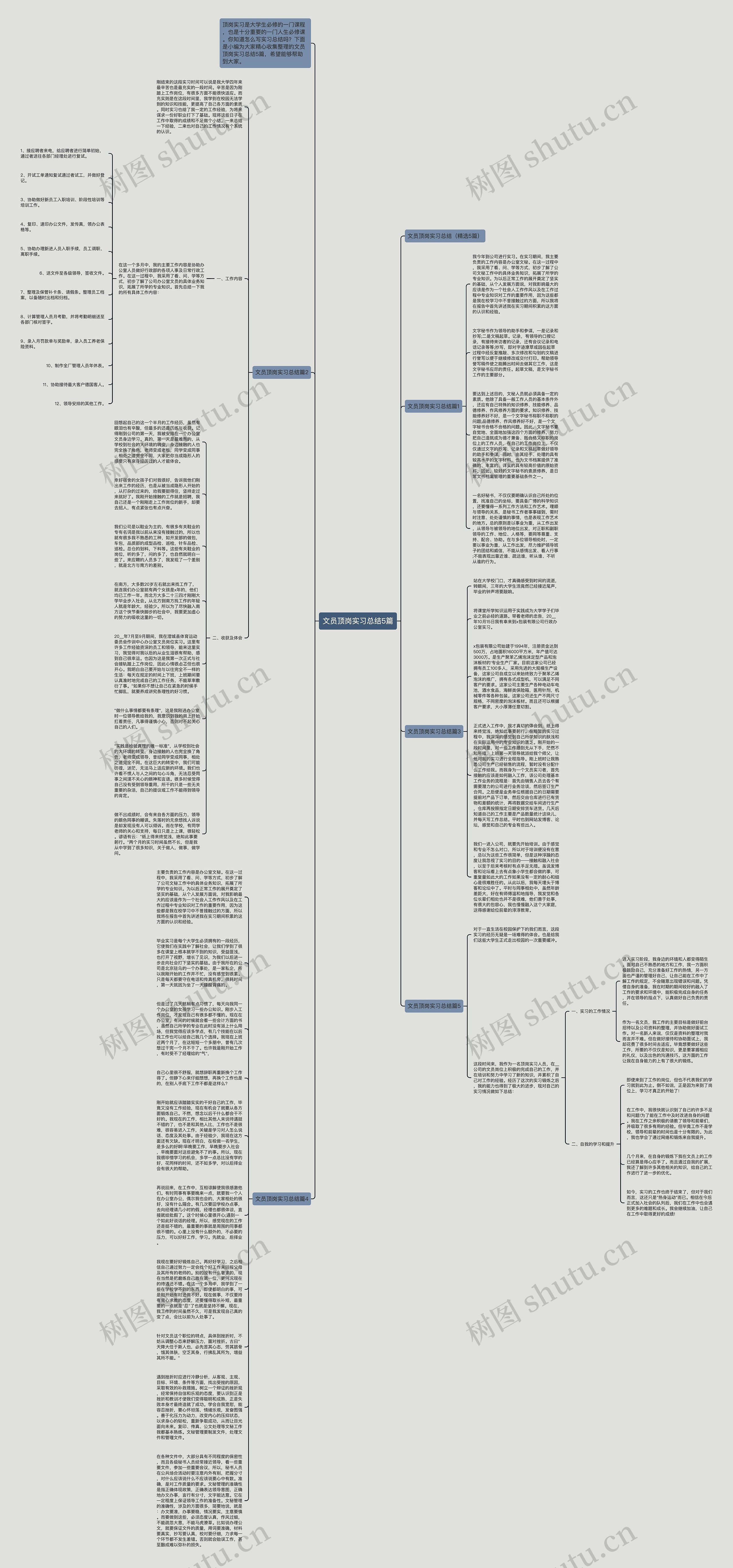文员顶岗实习总结5篇思维导图