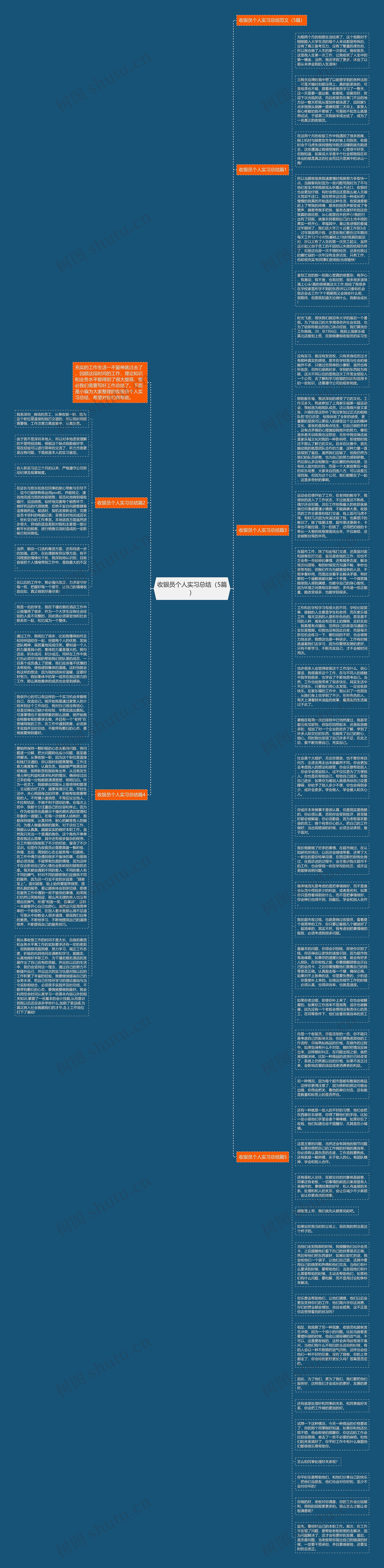 收银员个人实习总结（5篇）思维导图