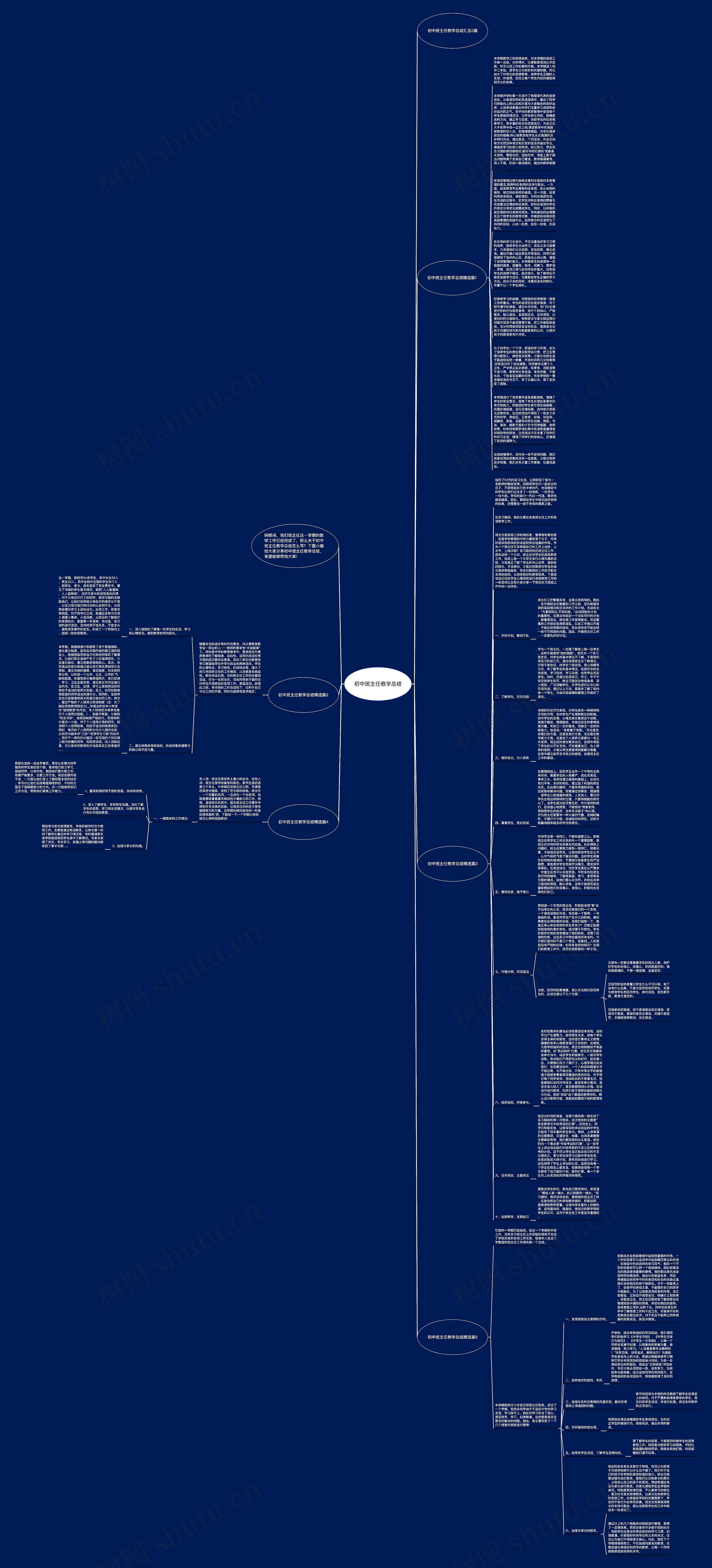 初中班主任教学总结思维导图