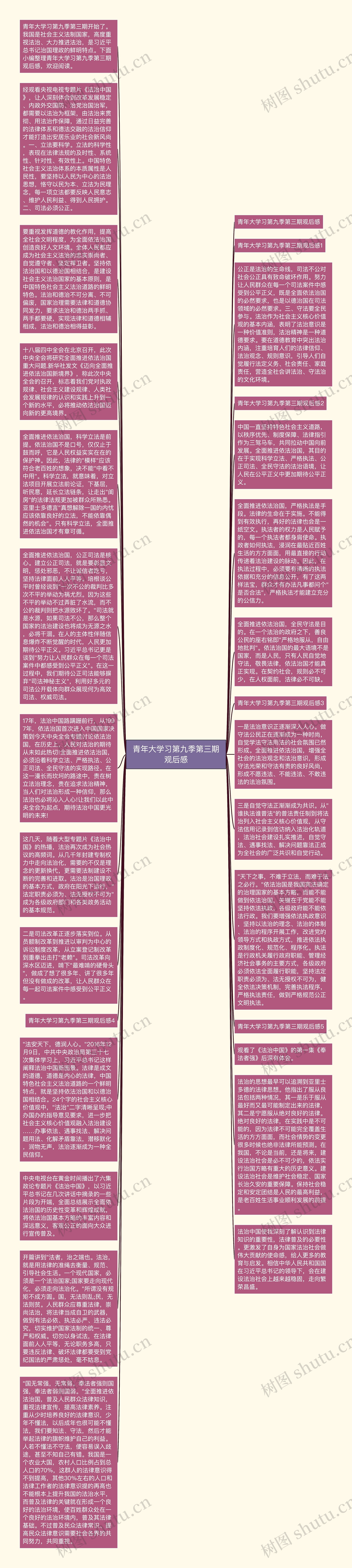 青年大学习第九季第三期观后感
