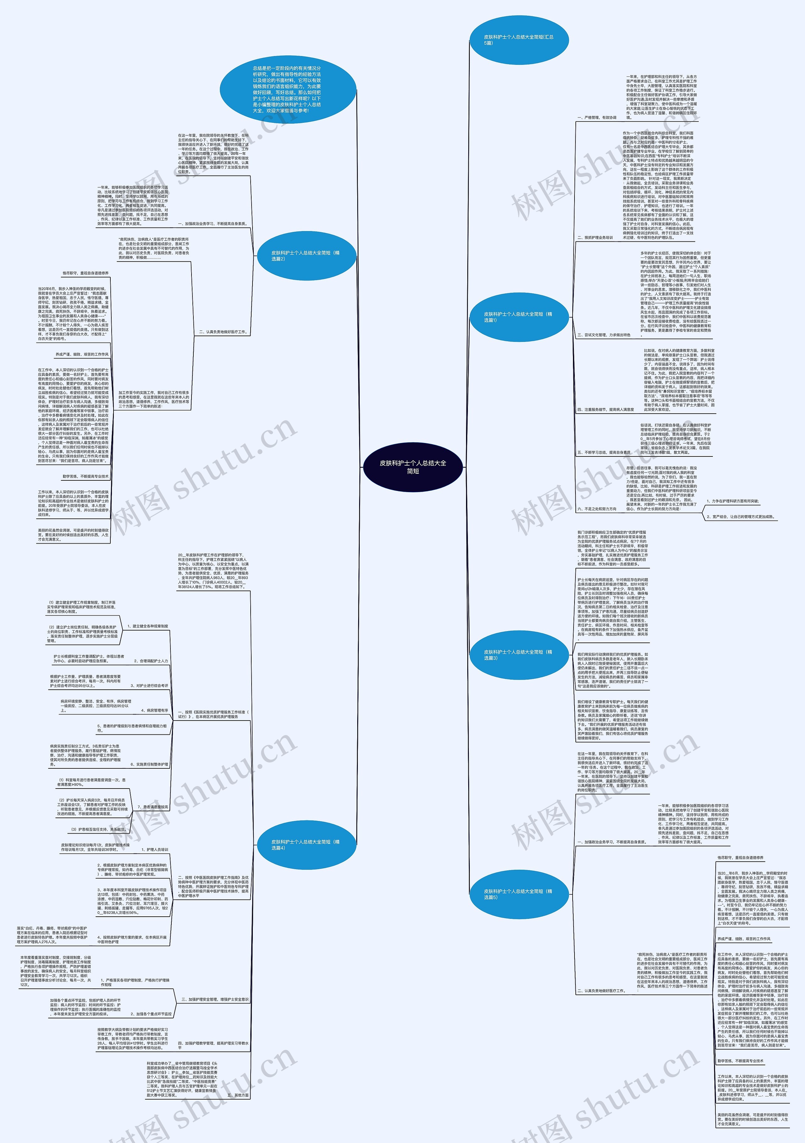 皮肤科护士个人总结大全简短思维导图