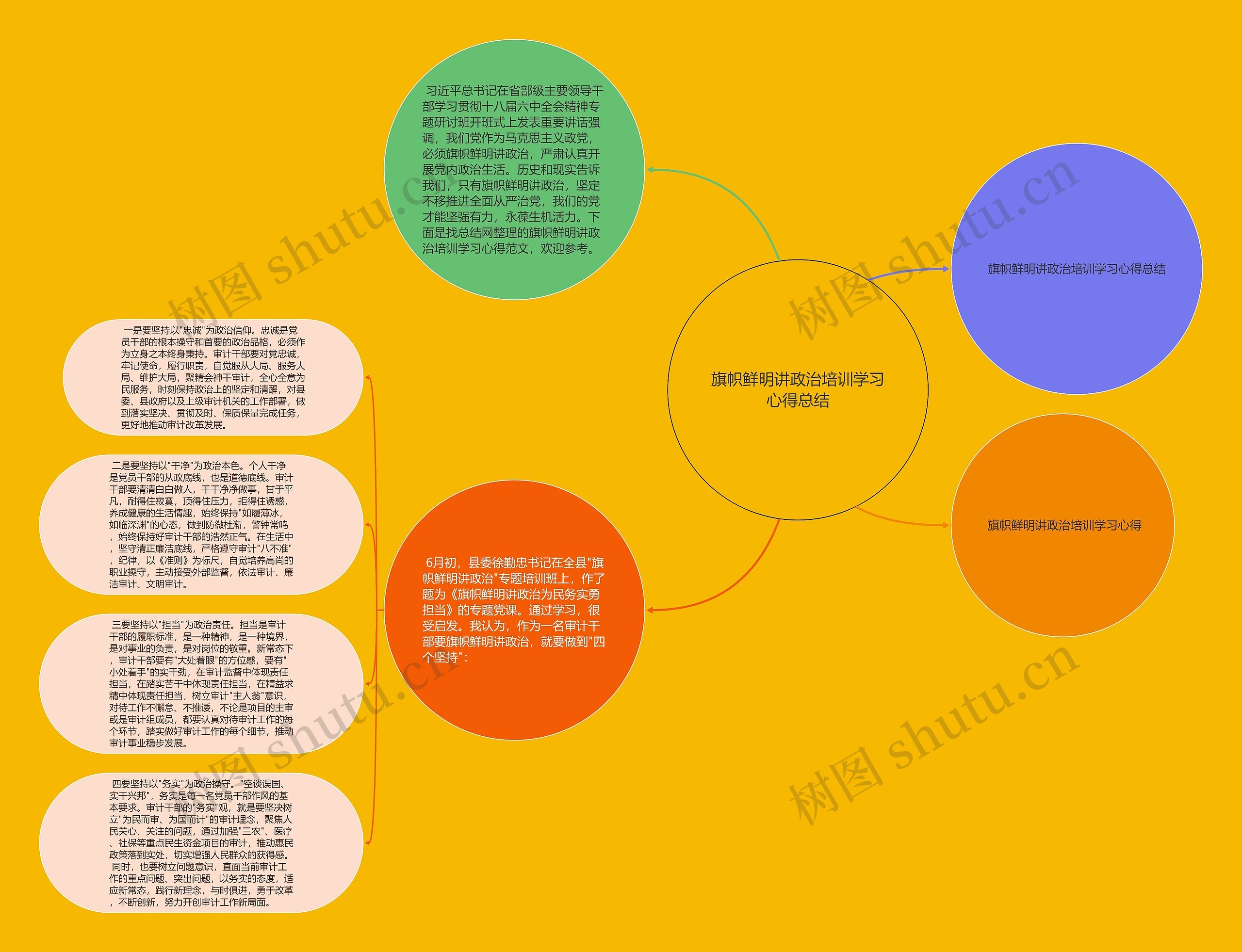 旗帜鲜明讲政治培训学习心得总结思维导图