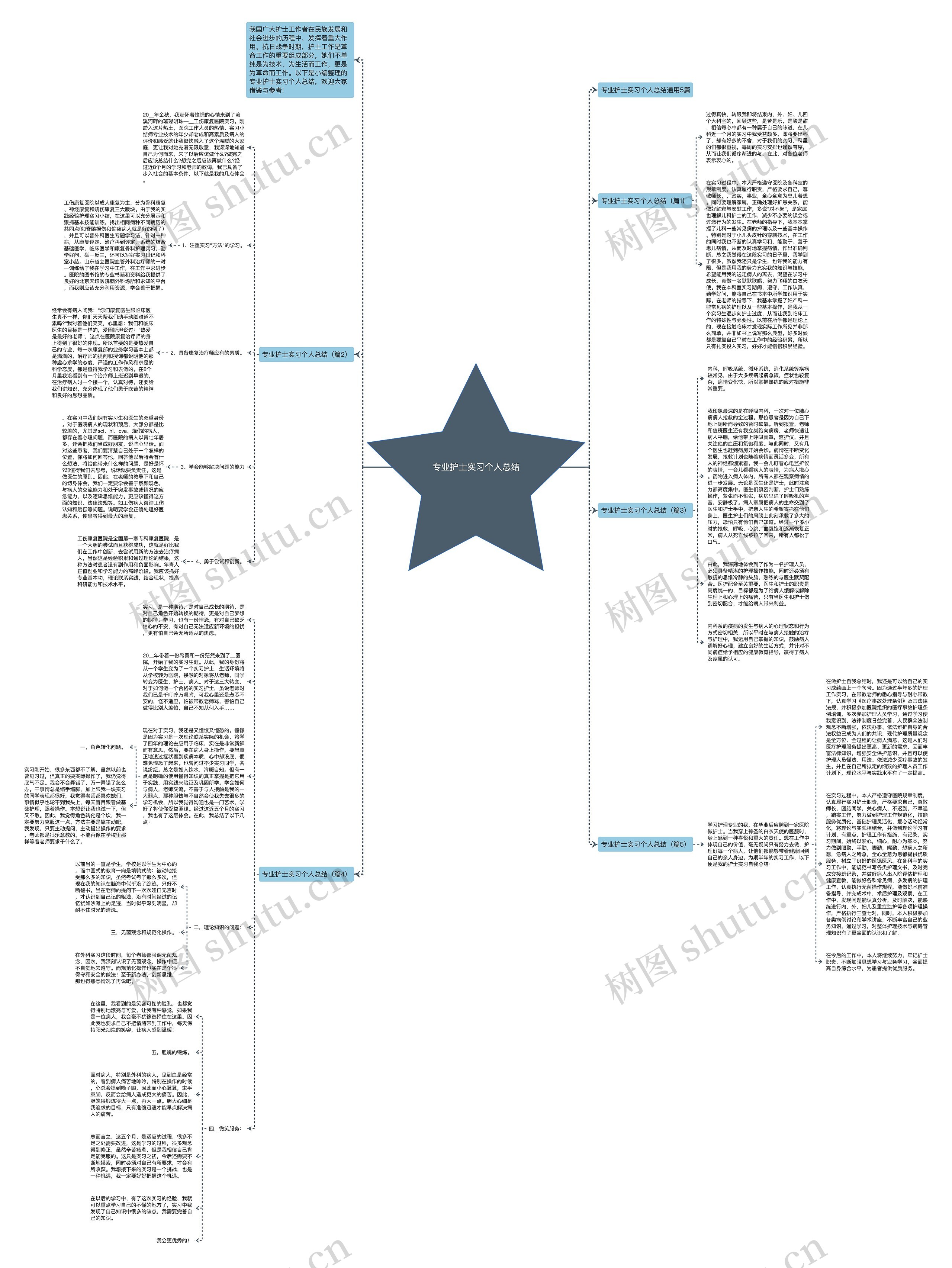专业护士实习个人总结思维导图