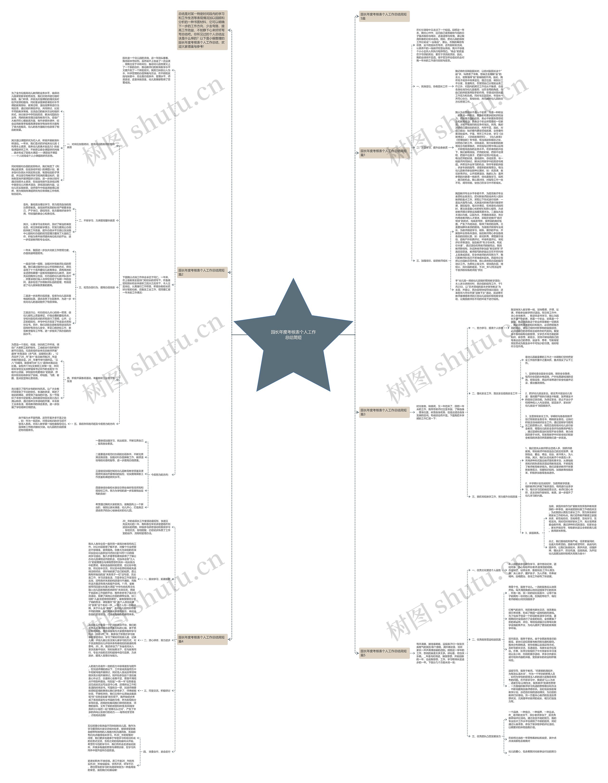 园长年度考核表个人工作总结简短思维导图